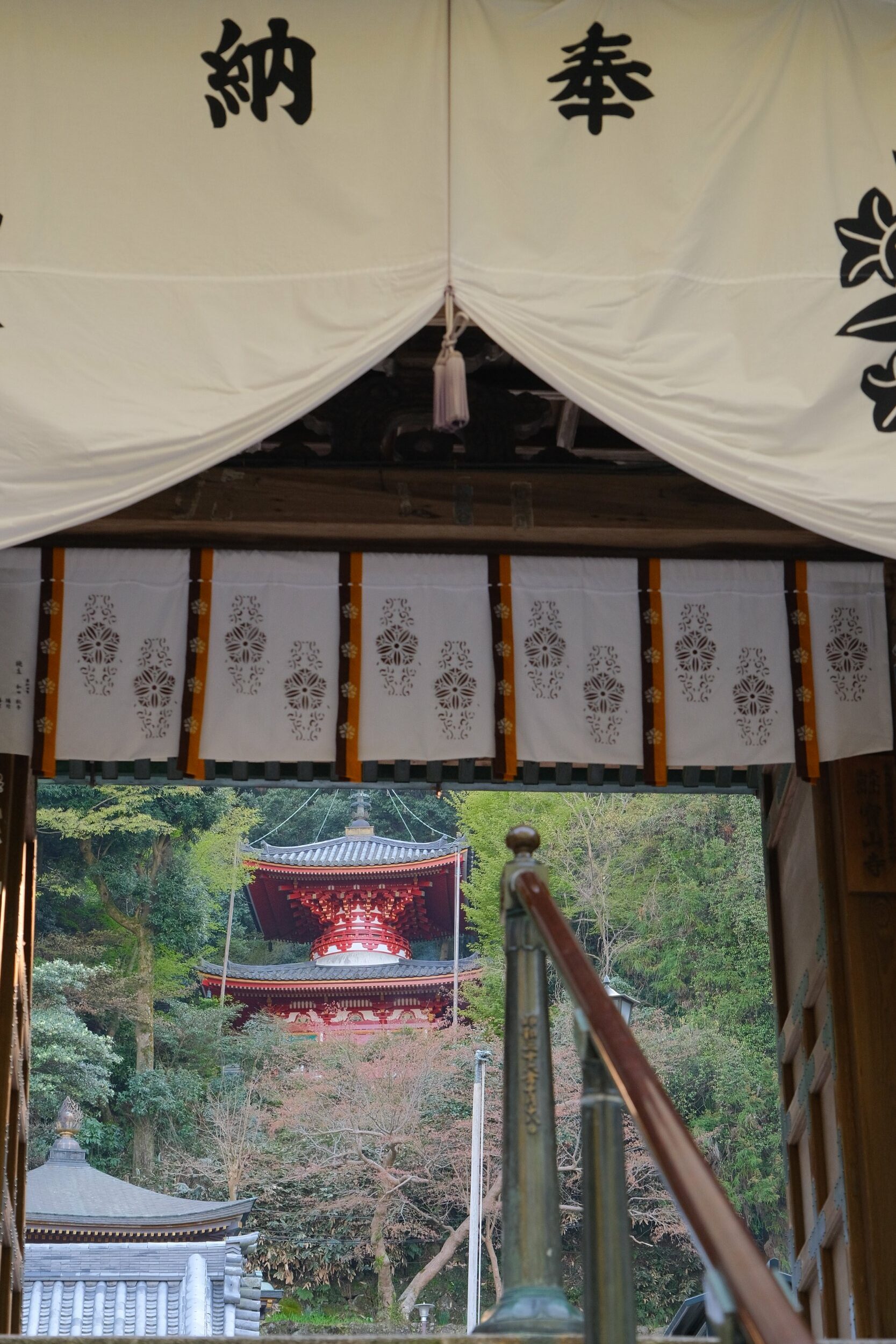 2023å¹´4æœˆ9æ—¥ 14:10 å›¾ç‰‡ 0040 1