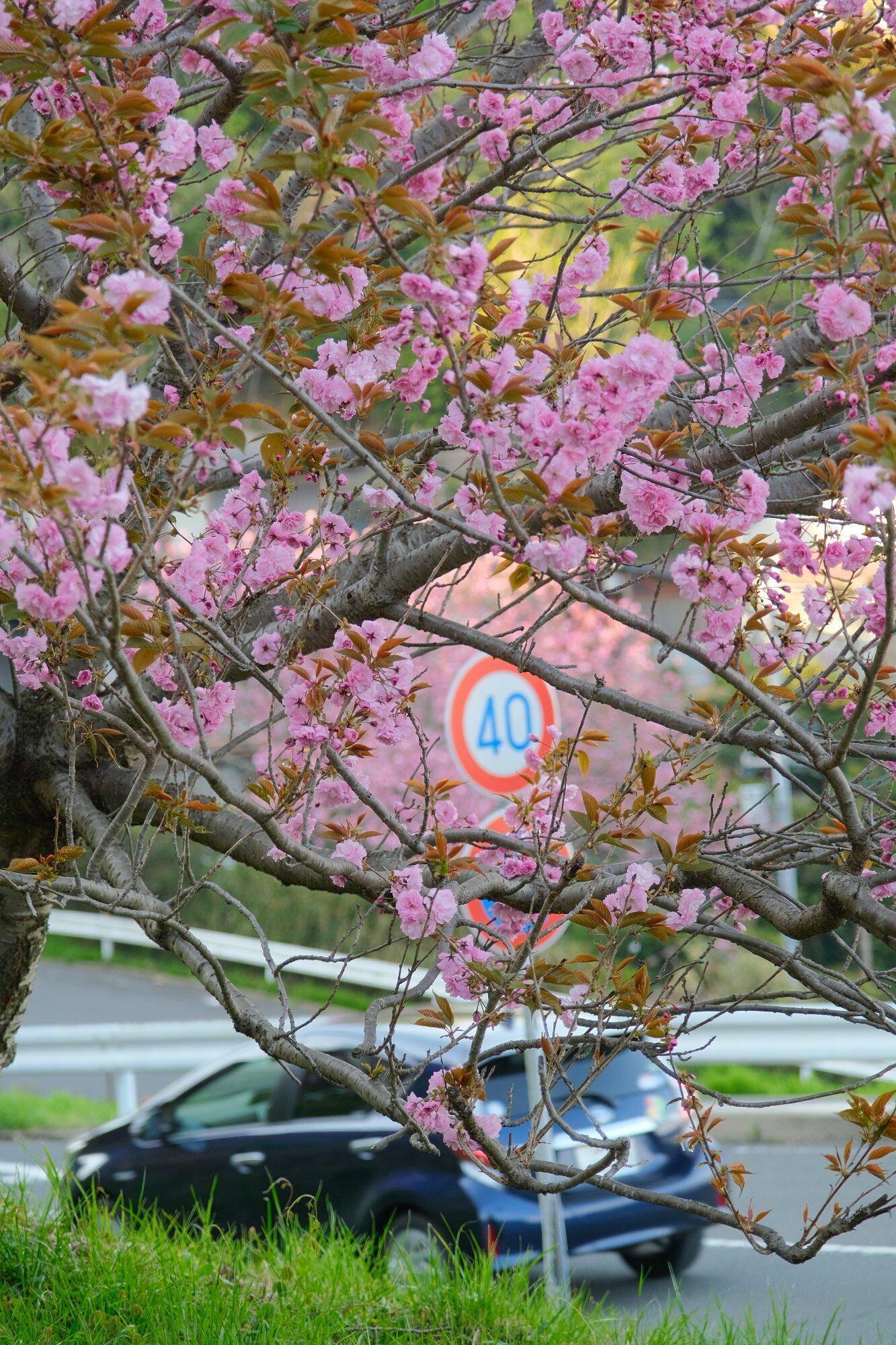 2023 04 09 14 23 img 0063