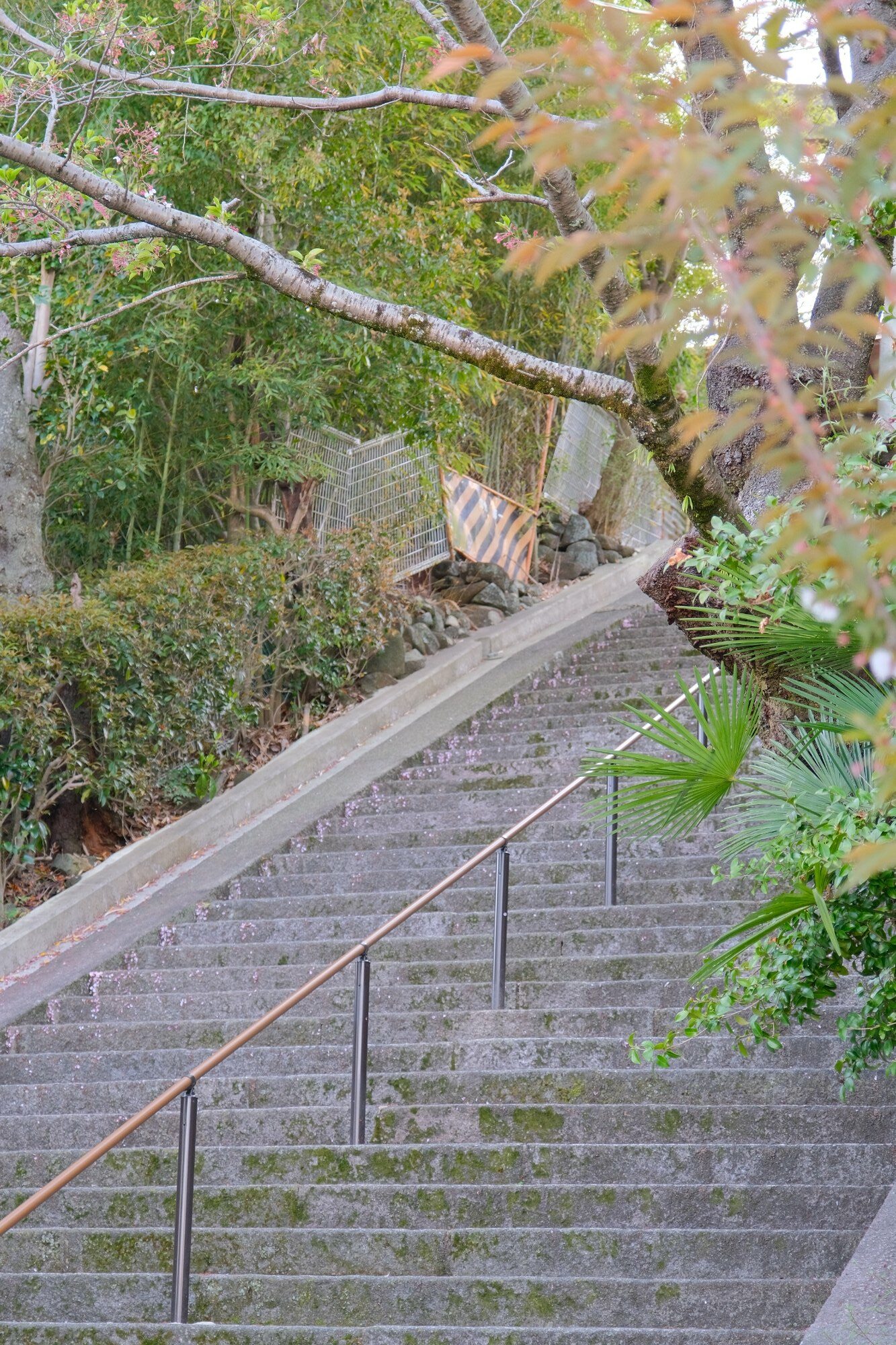 2023 04 09 15 19 img 0084