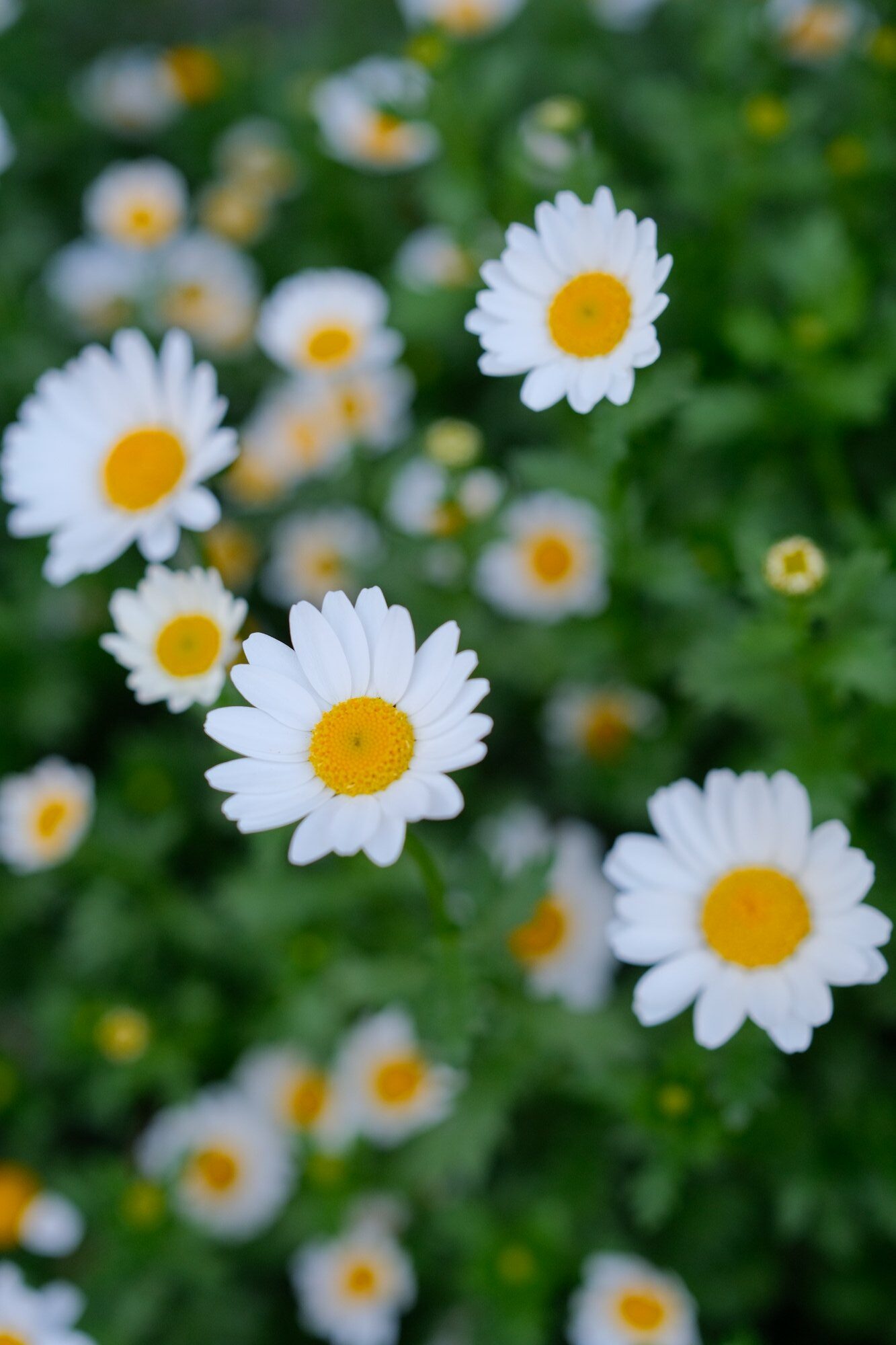 2023 04 09 15 33 img 0086