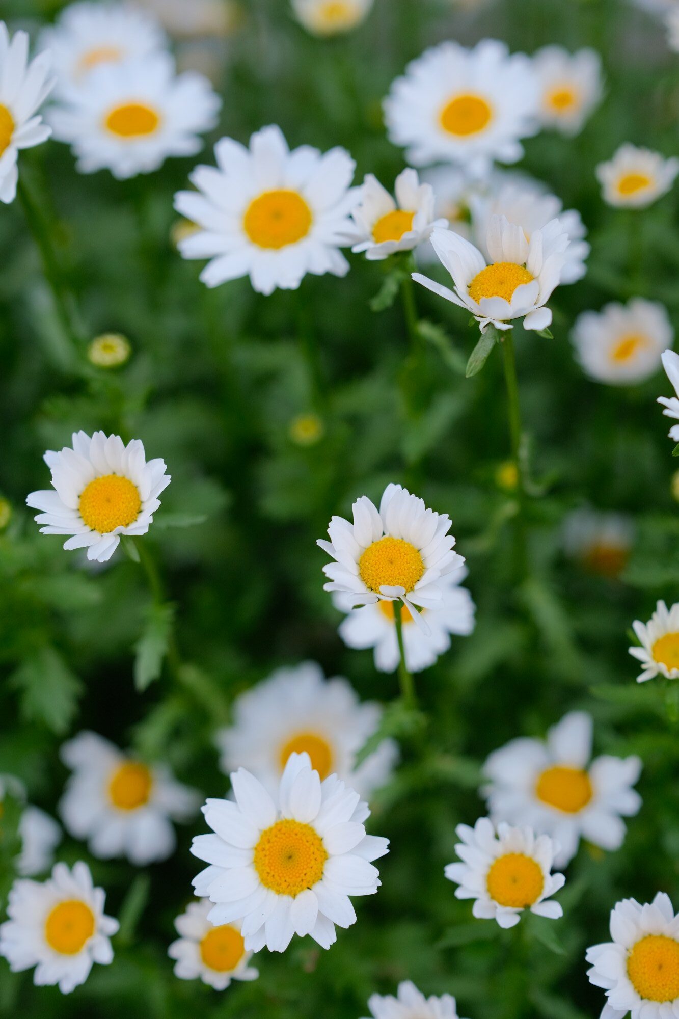 2023 04 09 15 34 img 0088