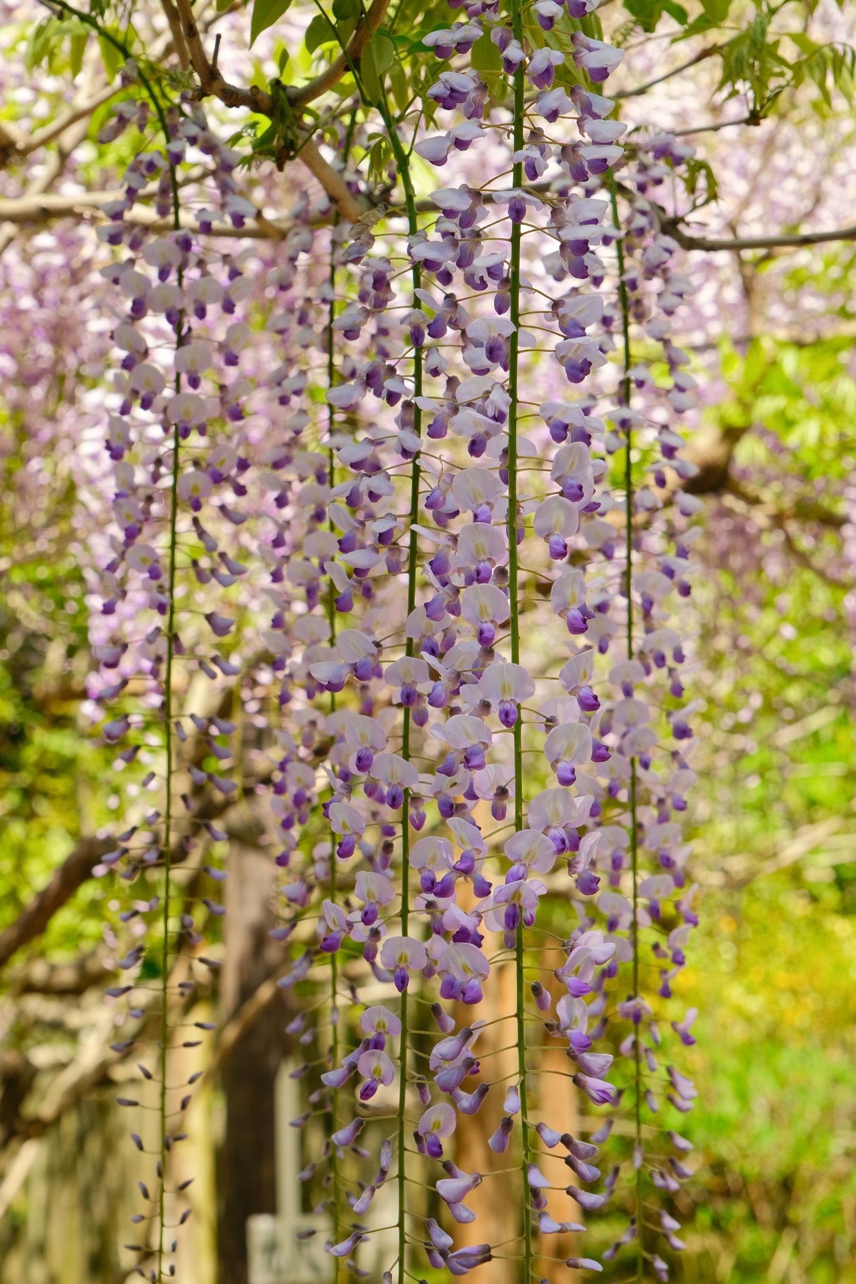 2023 04 23 08 38 dscf5740 3