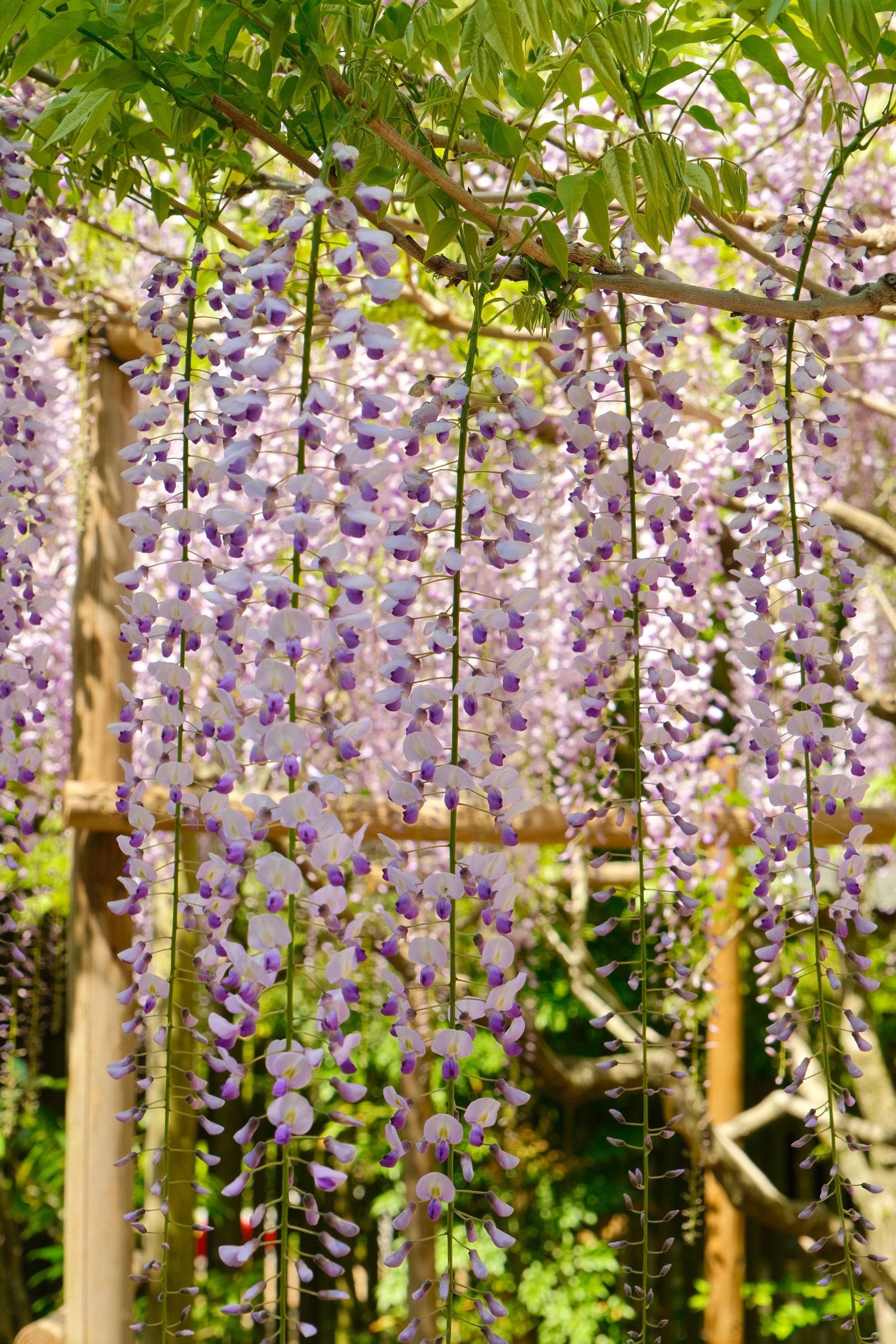 2023 04 23 08 38 dscf5742