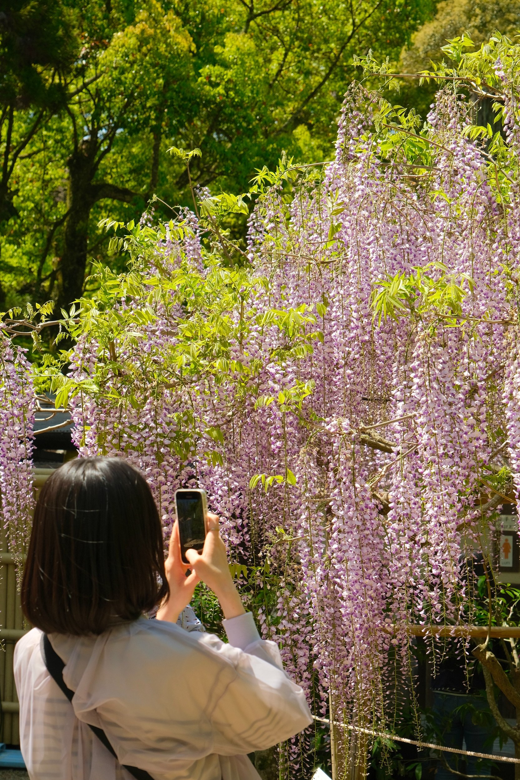 2023 04 23 08 45 dscf5759