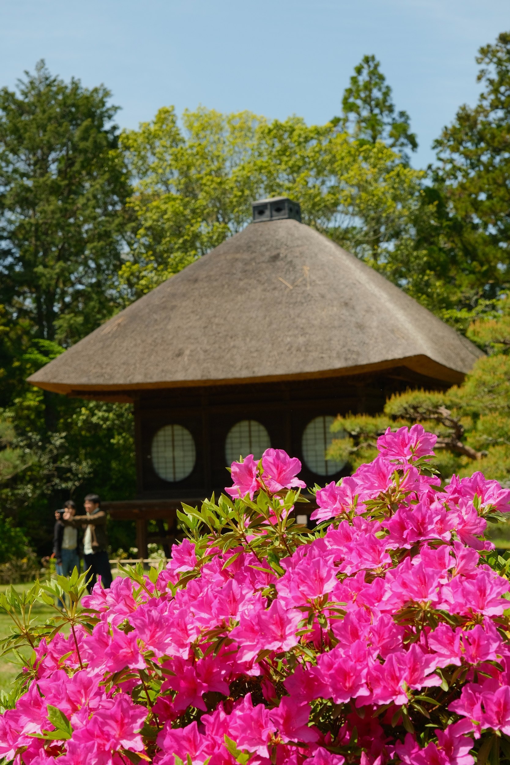 2023 04 23 08 57 dscf5784