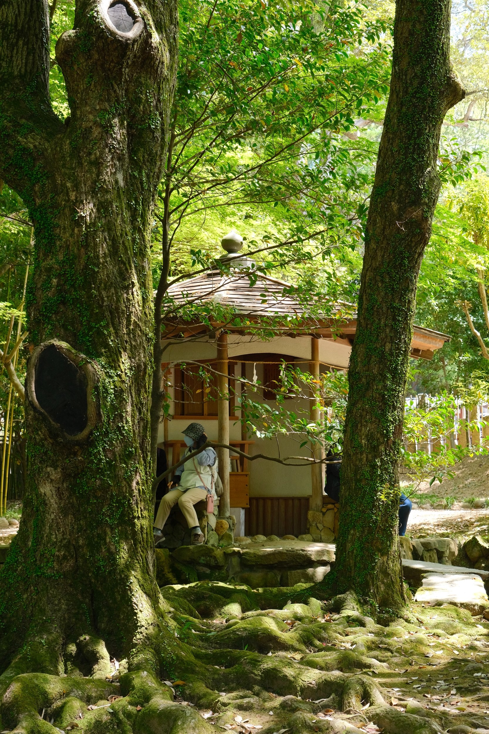 2023 04 23 09 07 dscf5811