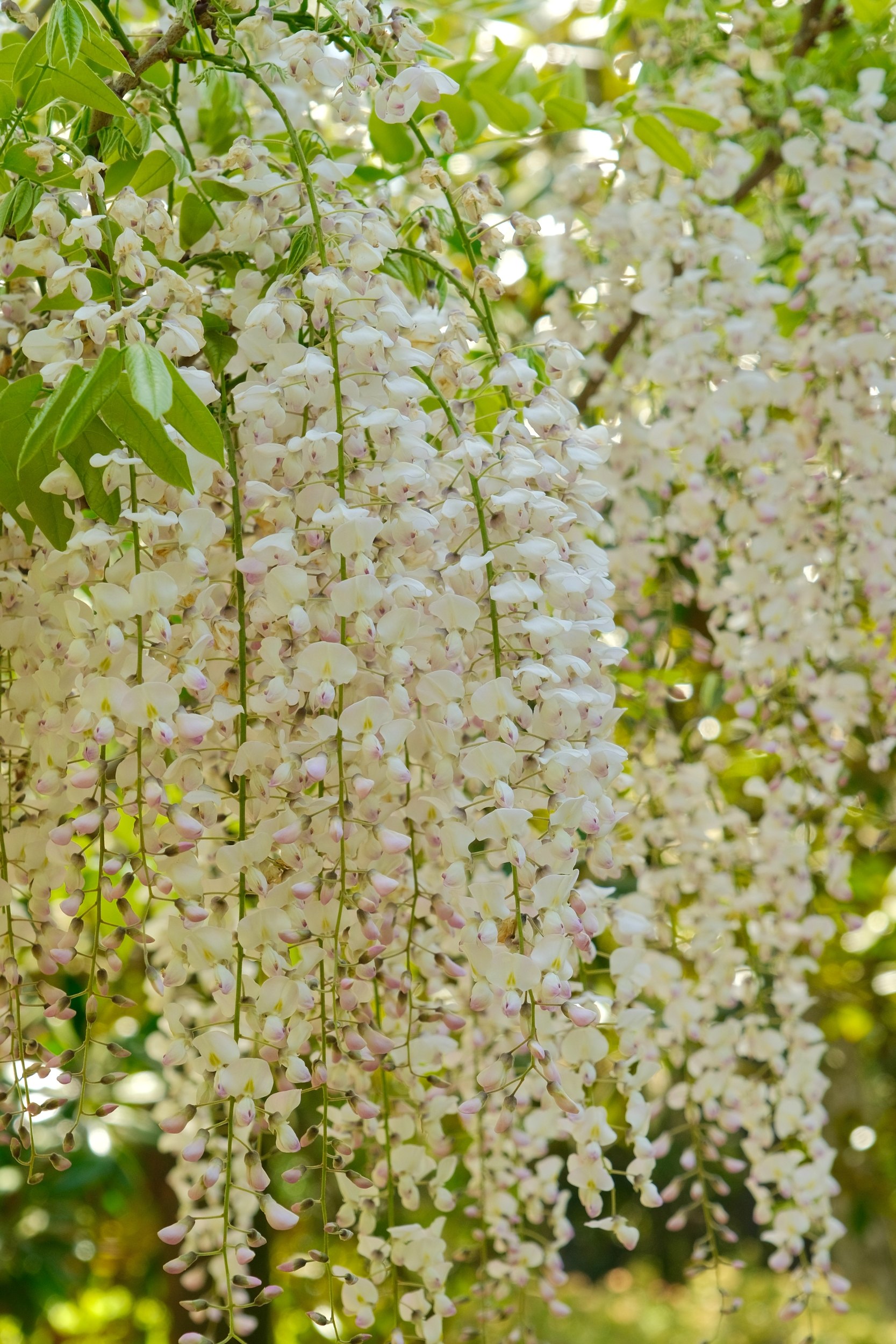 2023 04 23 09 16 dscf5831