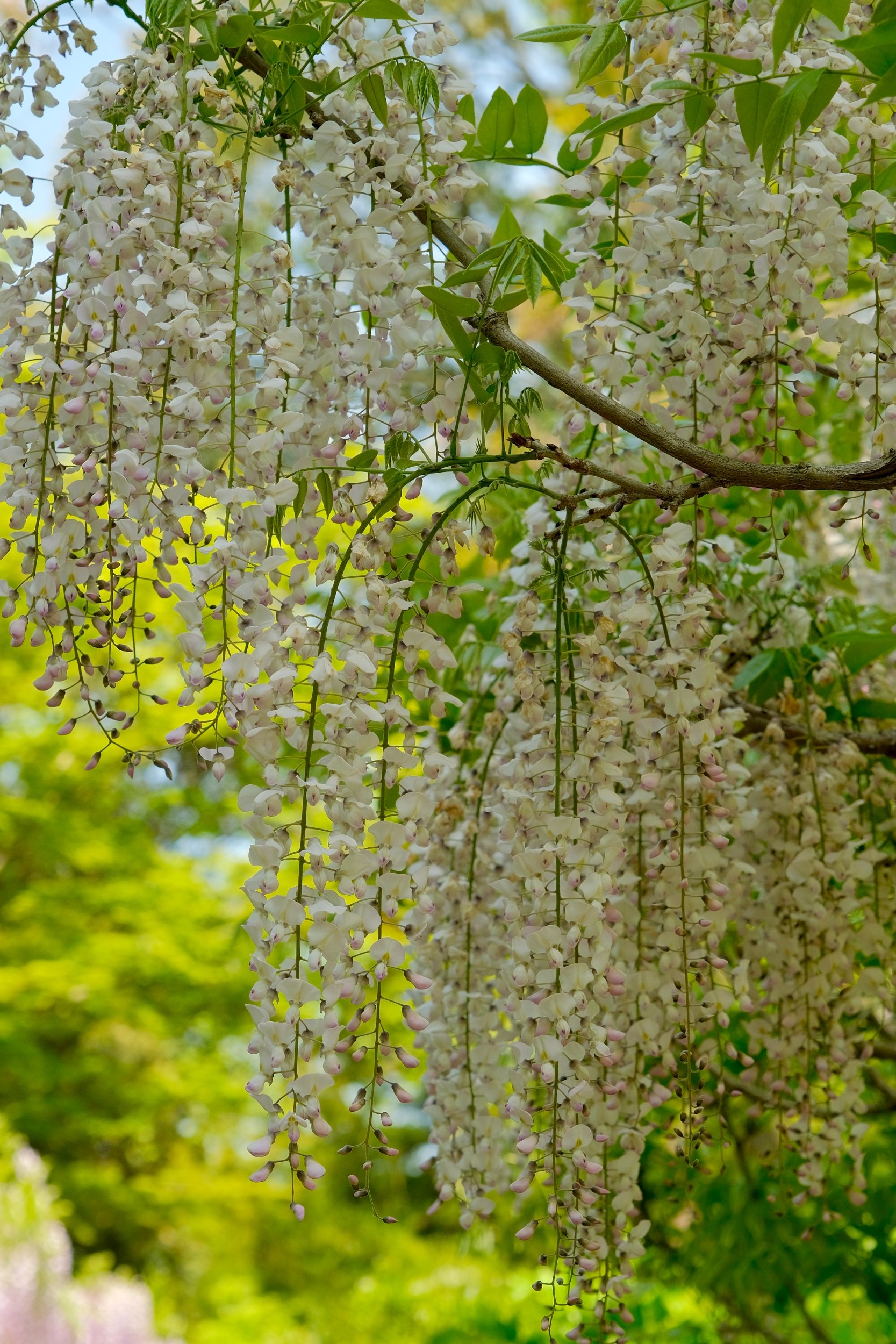 2023 04 23 09 17 dscf5832