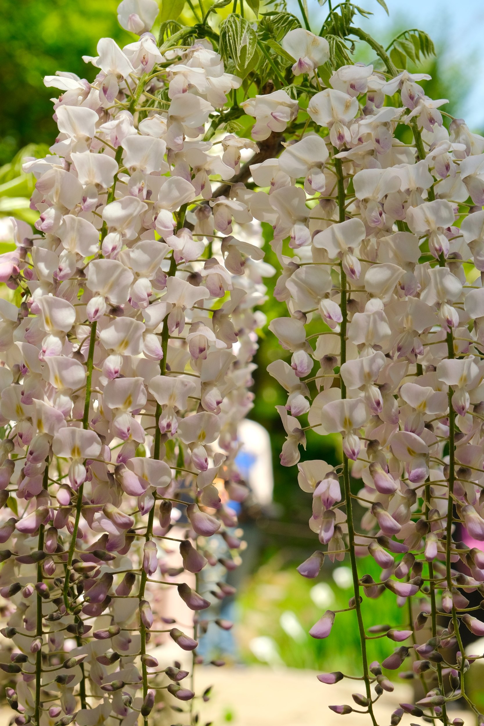 2023 04 23 09 37 dscf5868 1