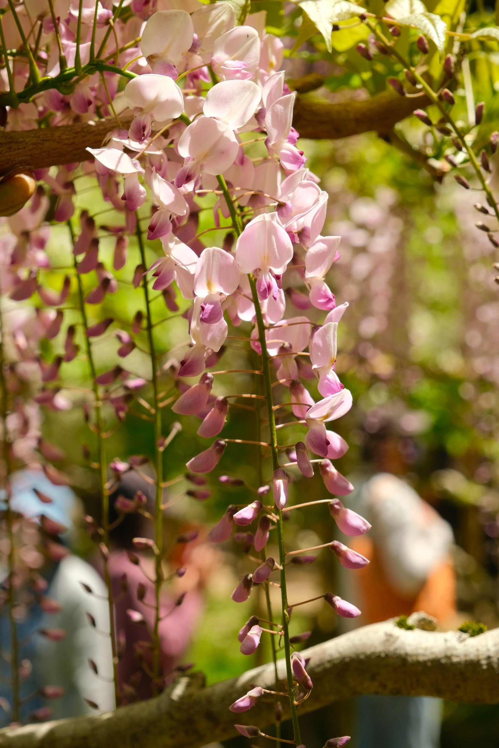 2023 04 23 09 38 dscf5872