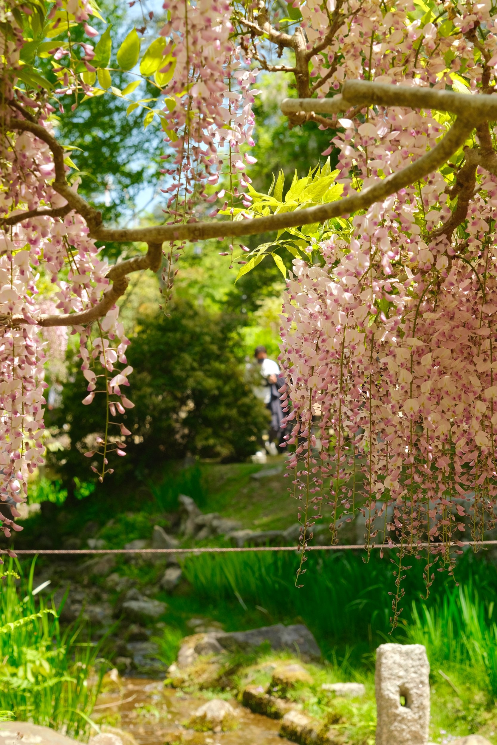 2023 04 23 09 38 dscf5873