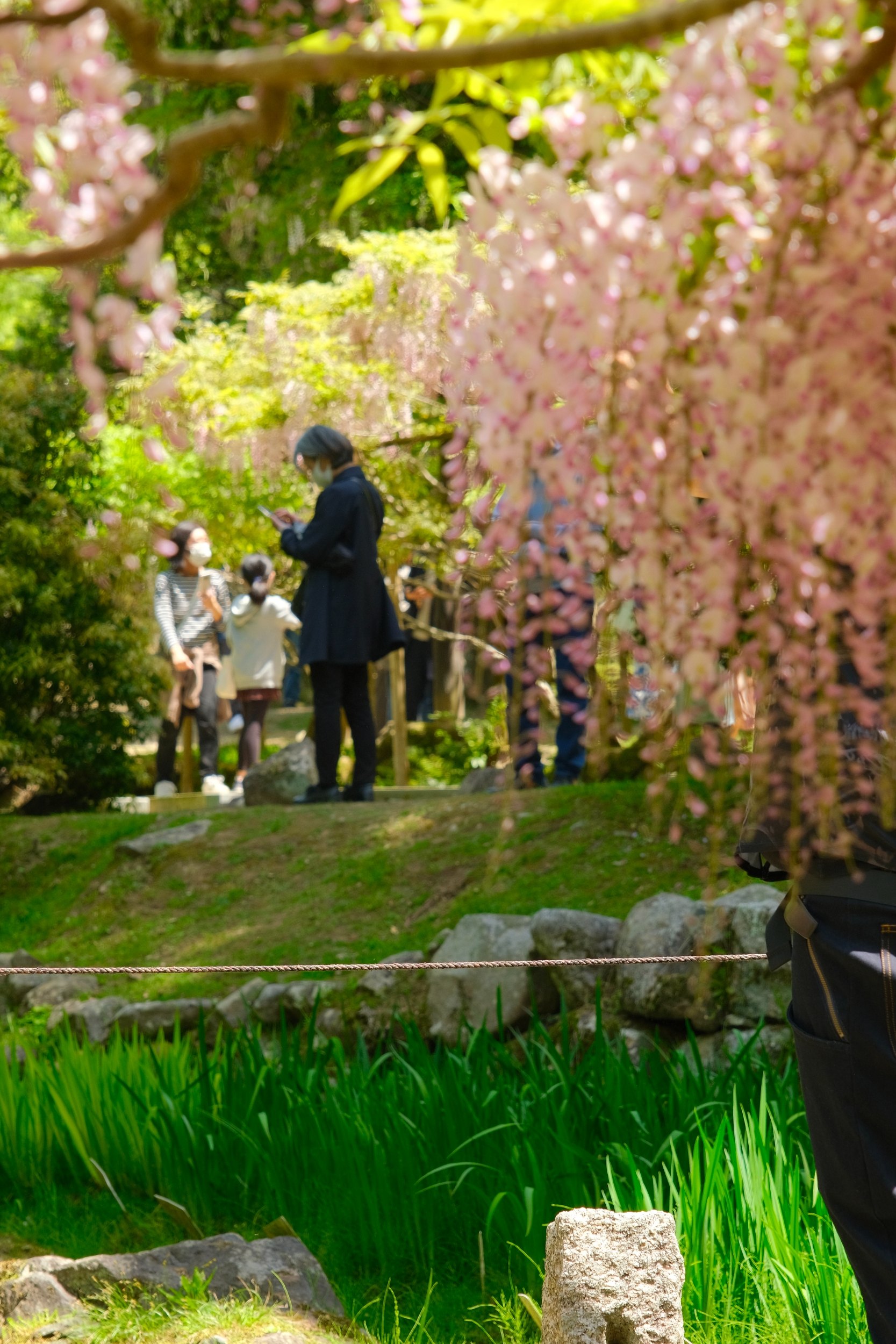 2023 04 23 09 41 dscf5883