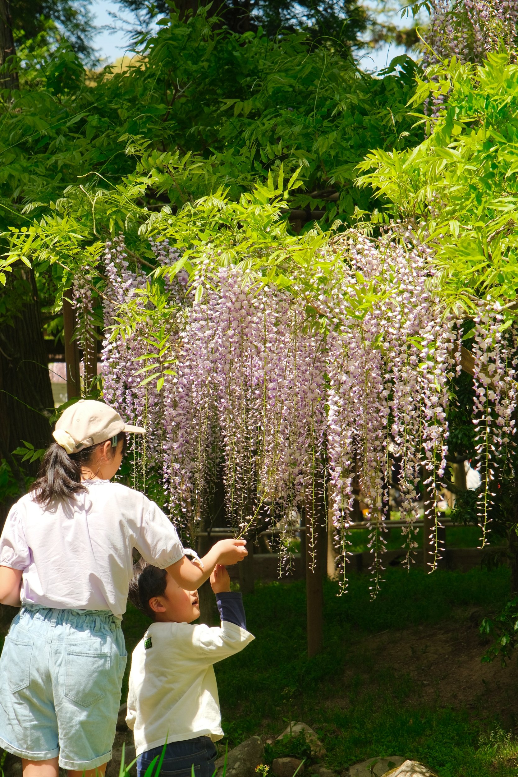 2023 04 23 09 43 dscf5886