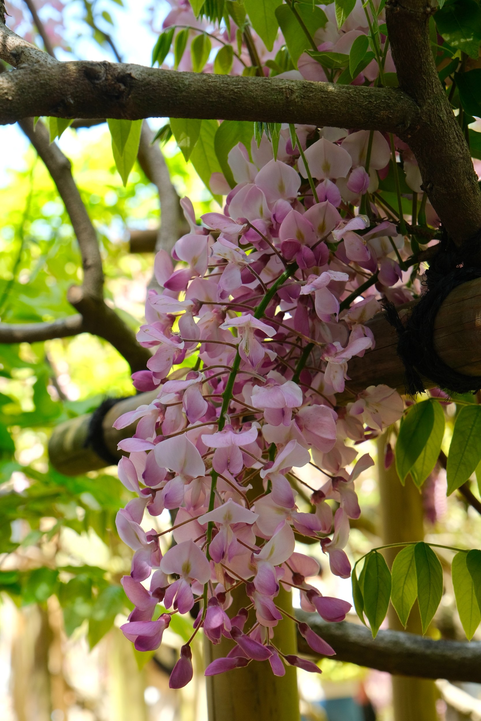 2023 04 23 09 47 dscf5891