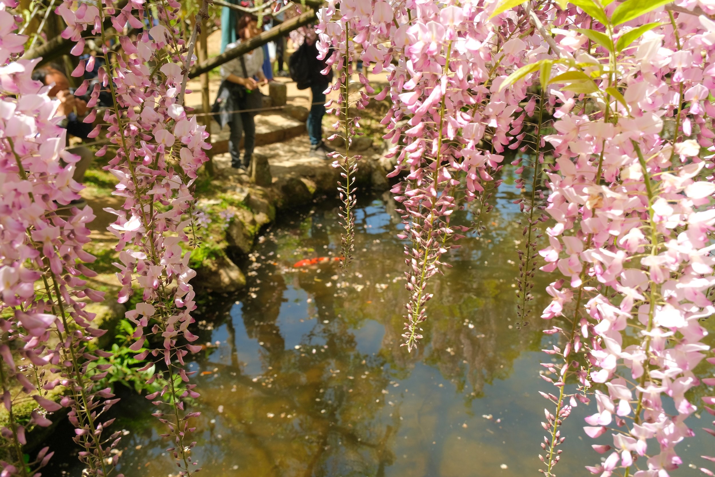 2023 04 23 09 52 dscf5897