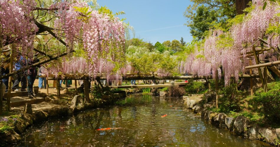 2023 04 23 09 55 dscf5926