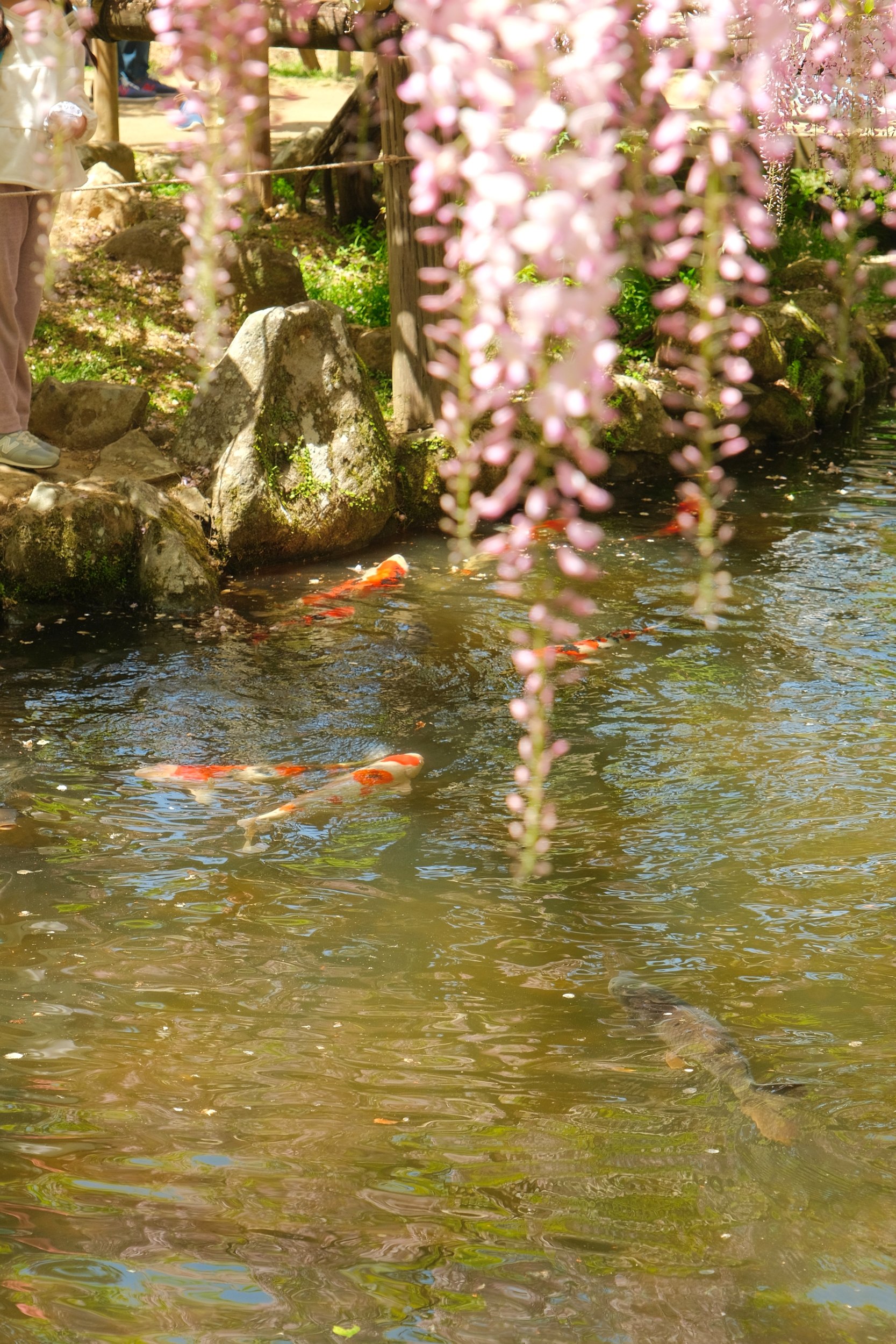 2023 04 23 10 00 dscf5943