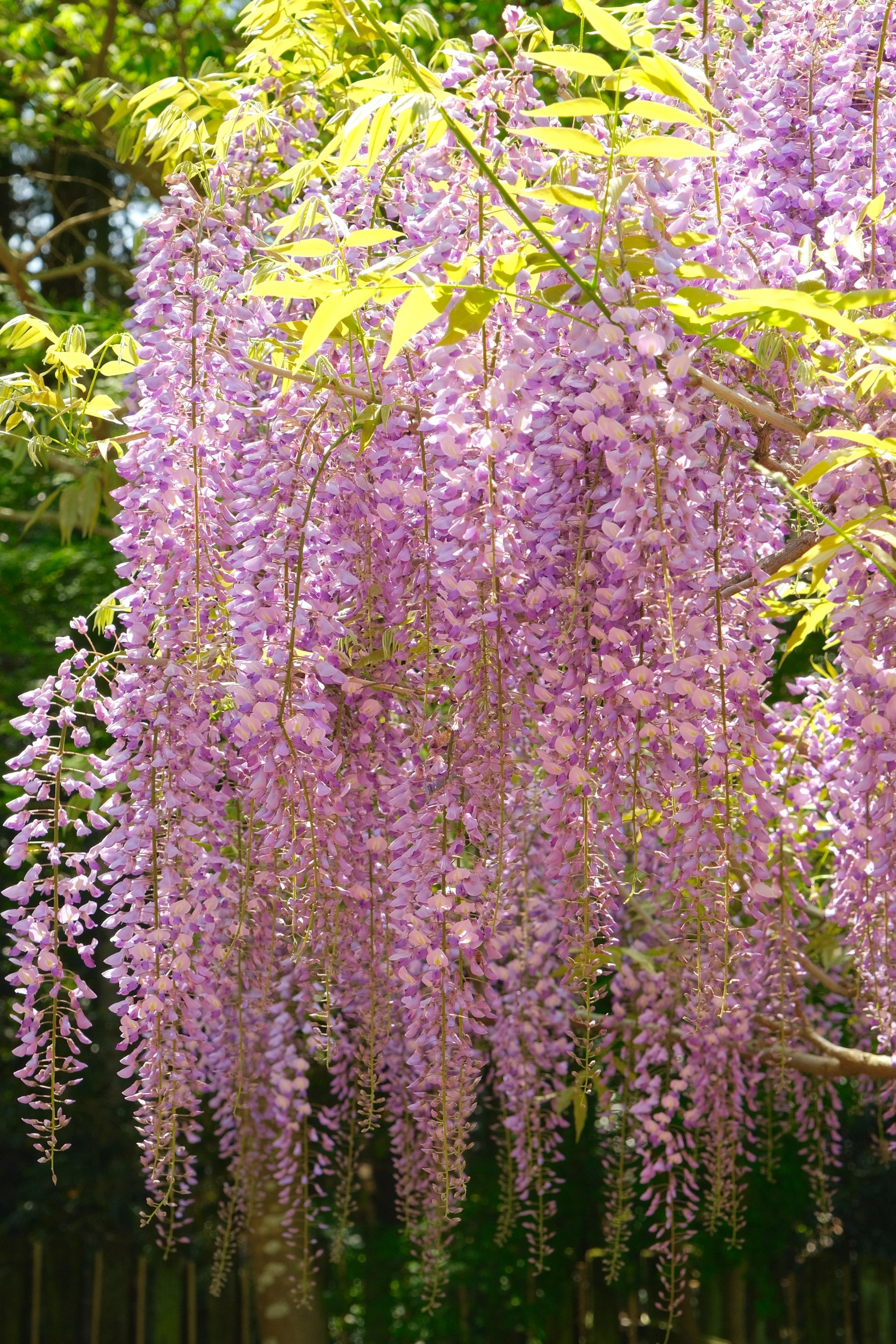 2023 04 23 10 07 dscf5956