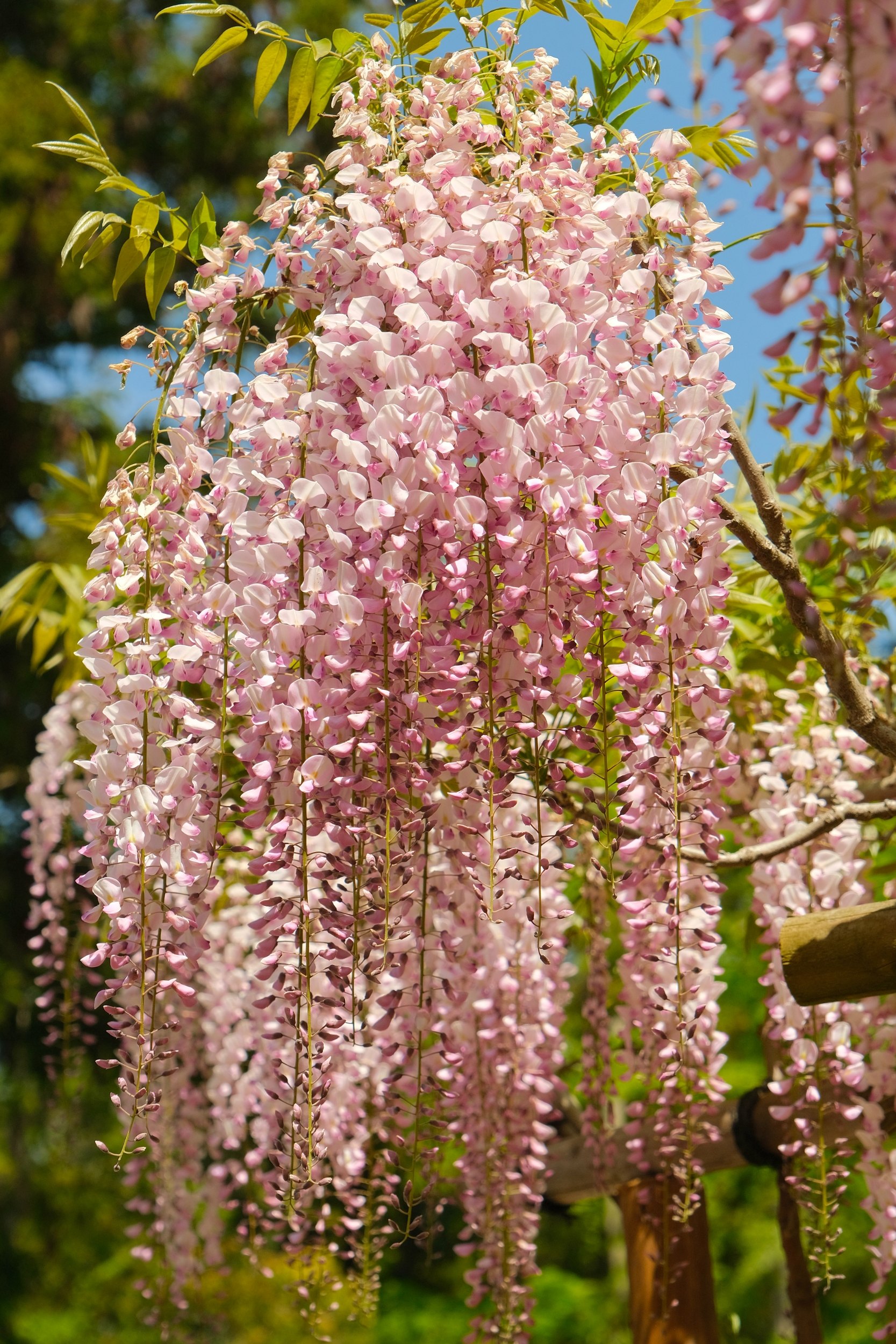 2023 04 23 10 08 dscf5958