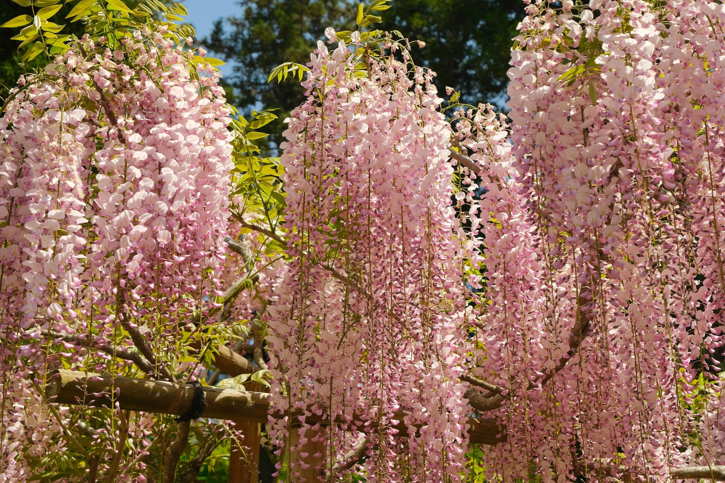 2023 04 23 10 08 dscf5959