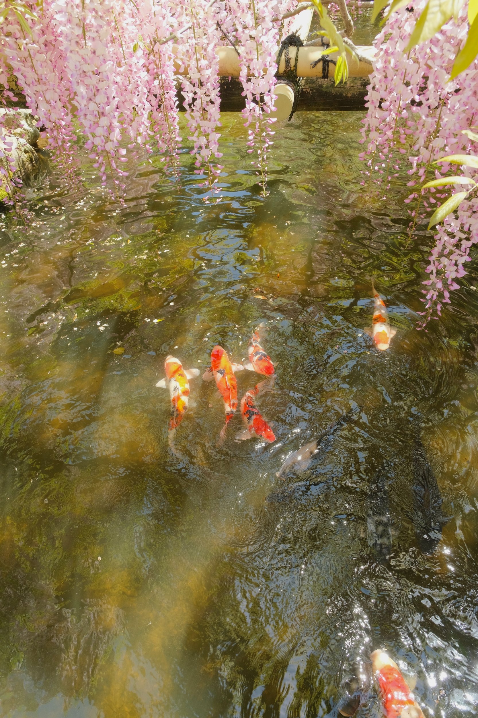 2023 04 23 10 11 dscf5969