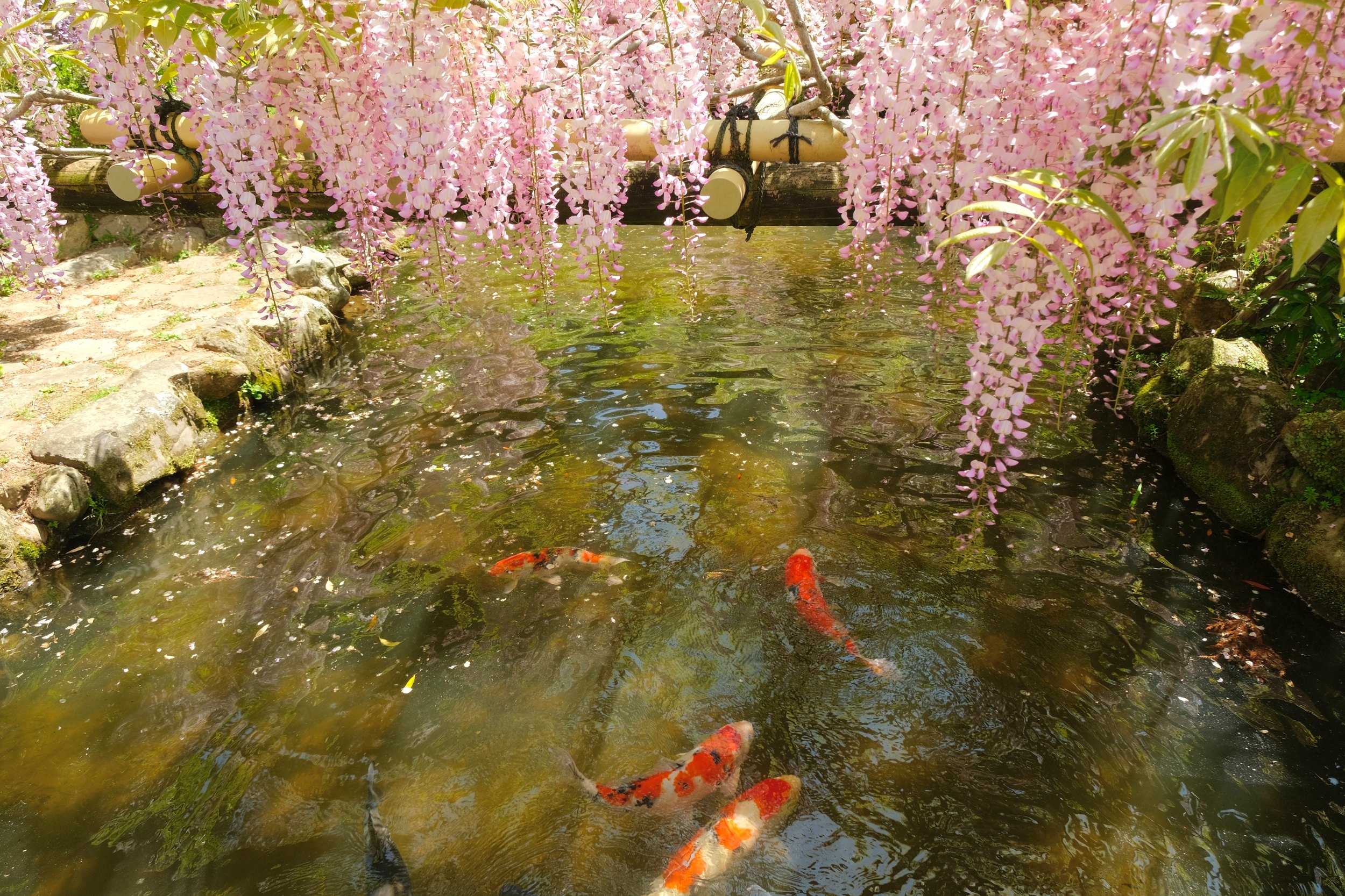 2023 04 23 10 11 dscf5974