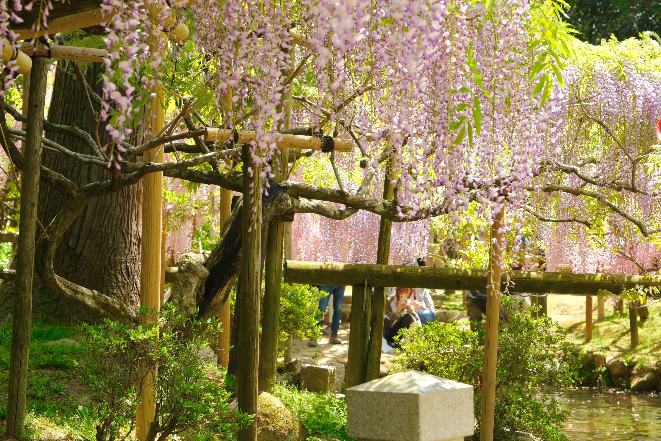 2023 04 23 10 16 dscf5997