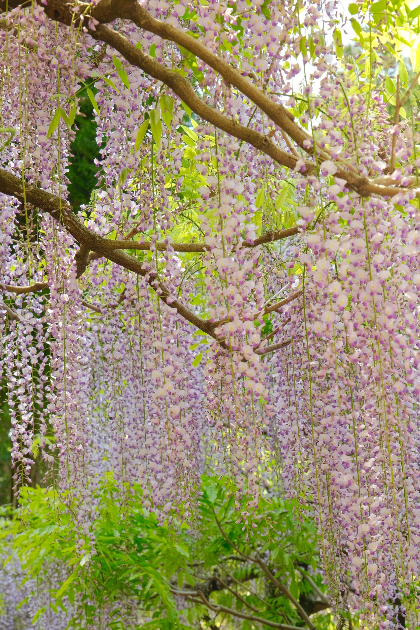 2023 04 23 10 16 dscf5999