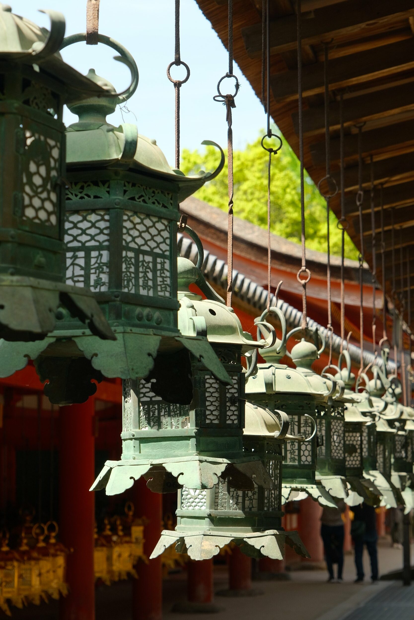 2023 04 23 11 27 dscf6026 1