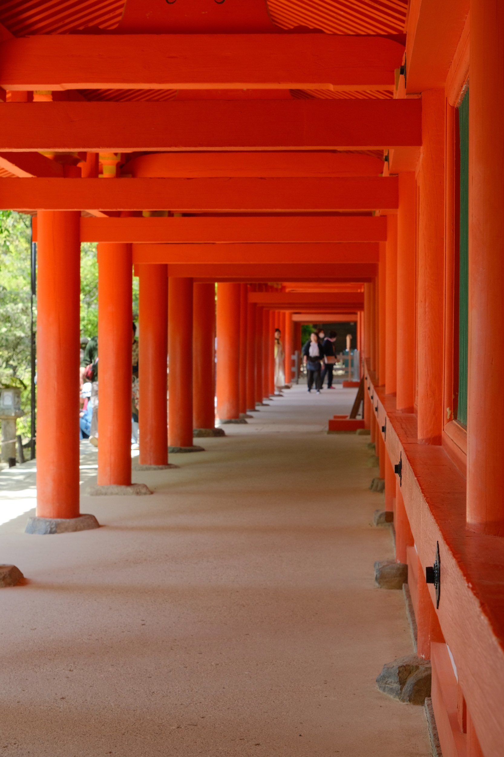 2023 04 23 11 31 dscf6038