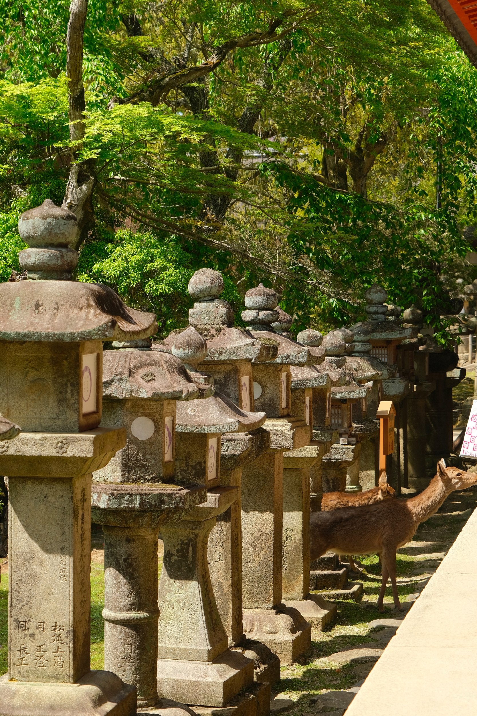 2023 04 23 11 32 dscf6041