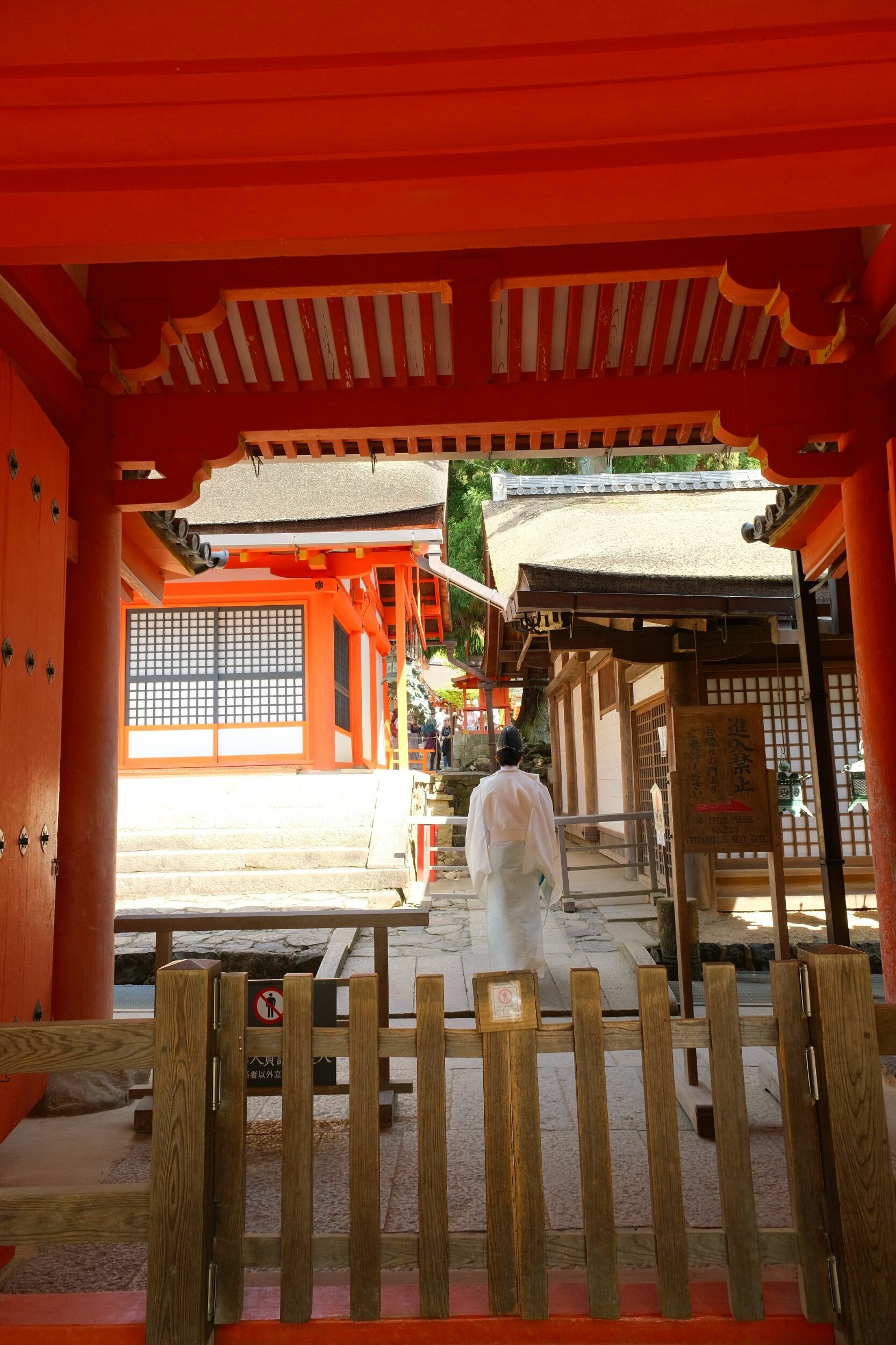 2023 04 23 11 34 dscf6052