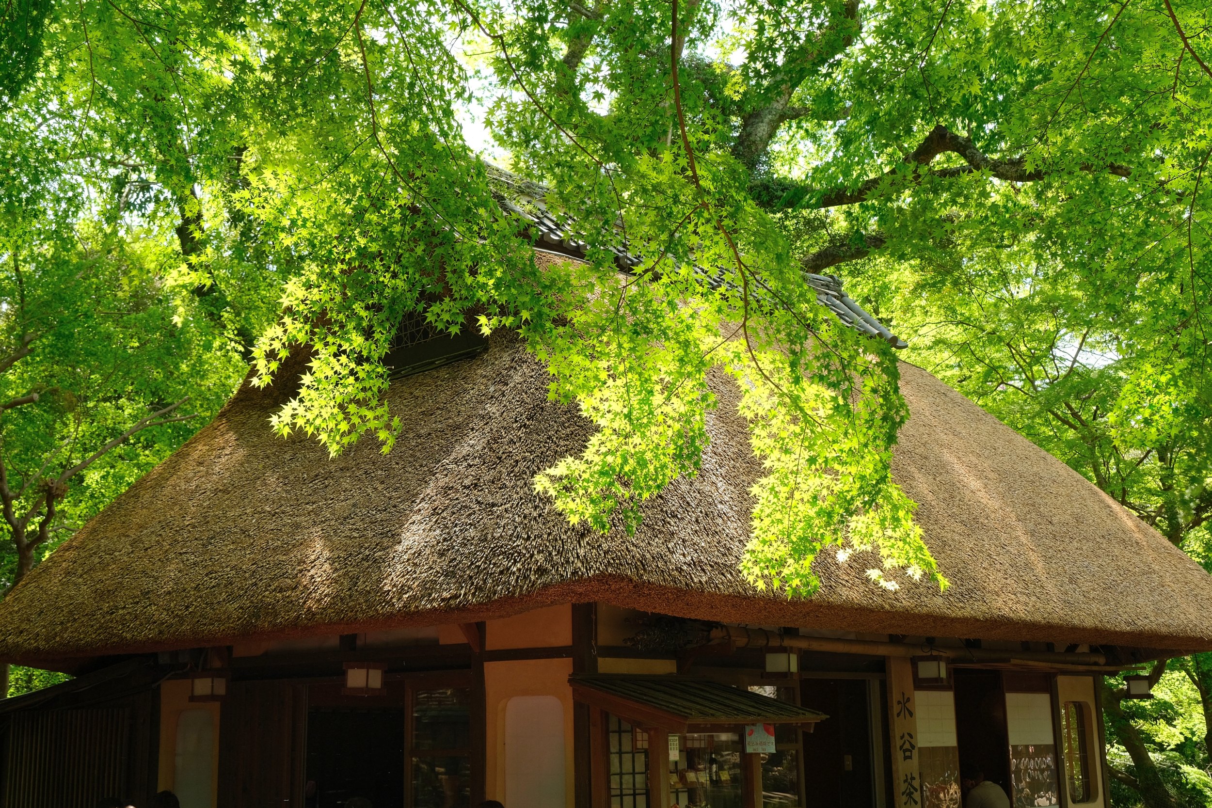 2023 04 23 11 47 dscf6069