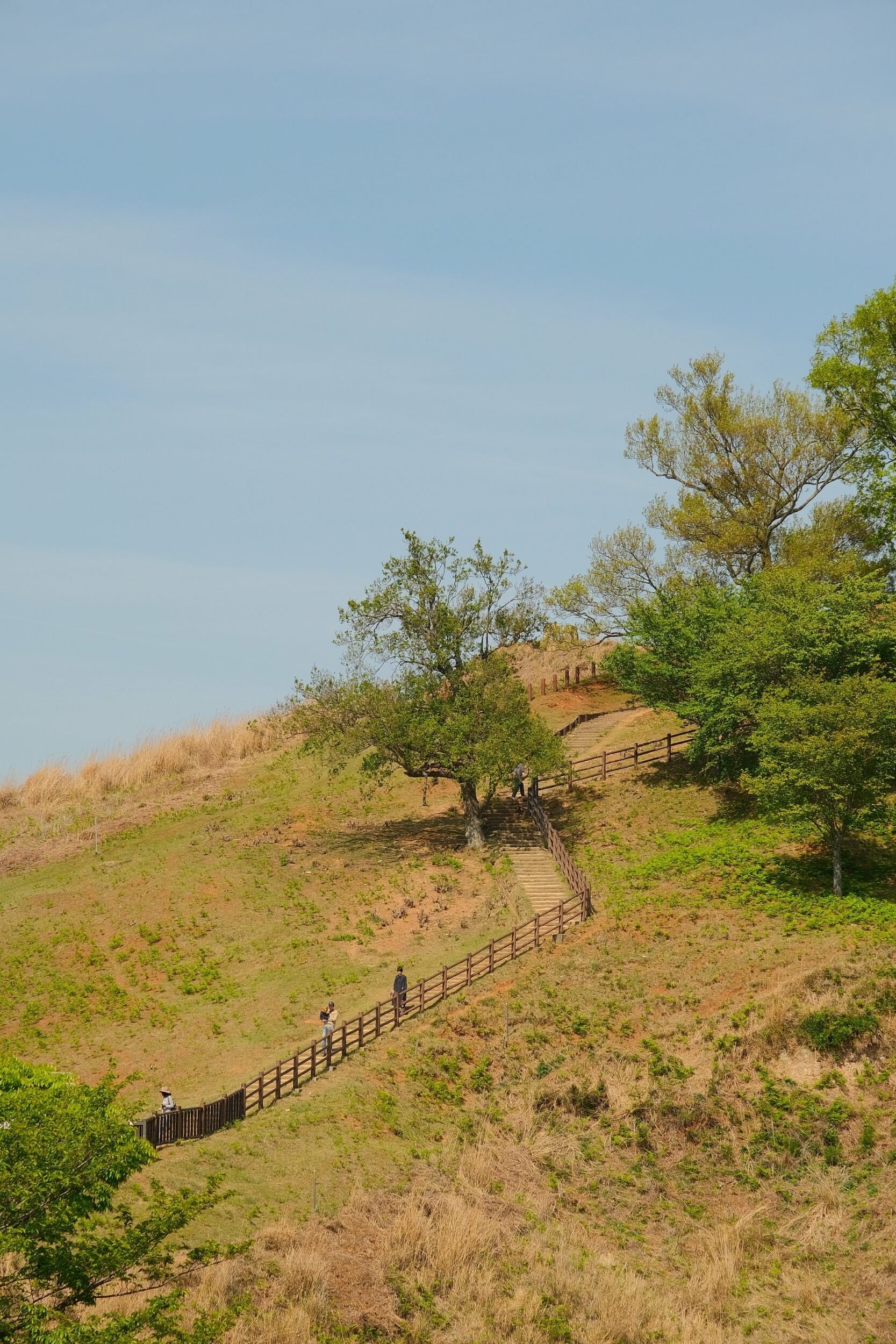 2023 04 23 12 30 dscf6121 1