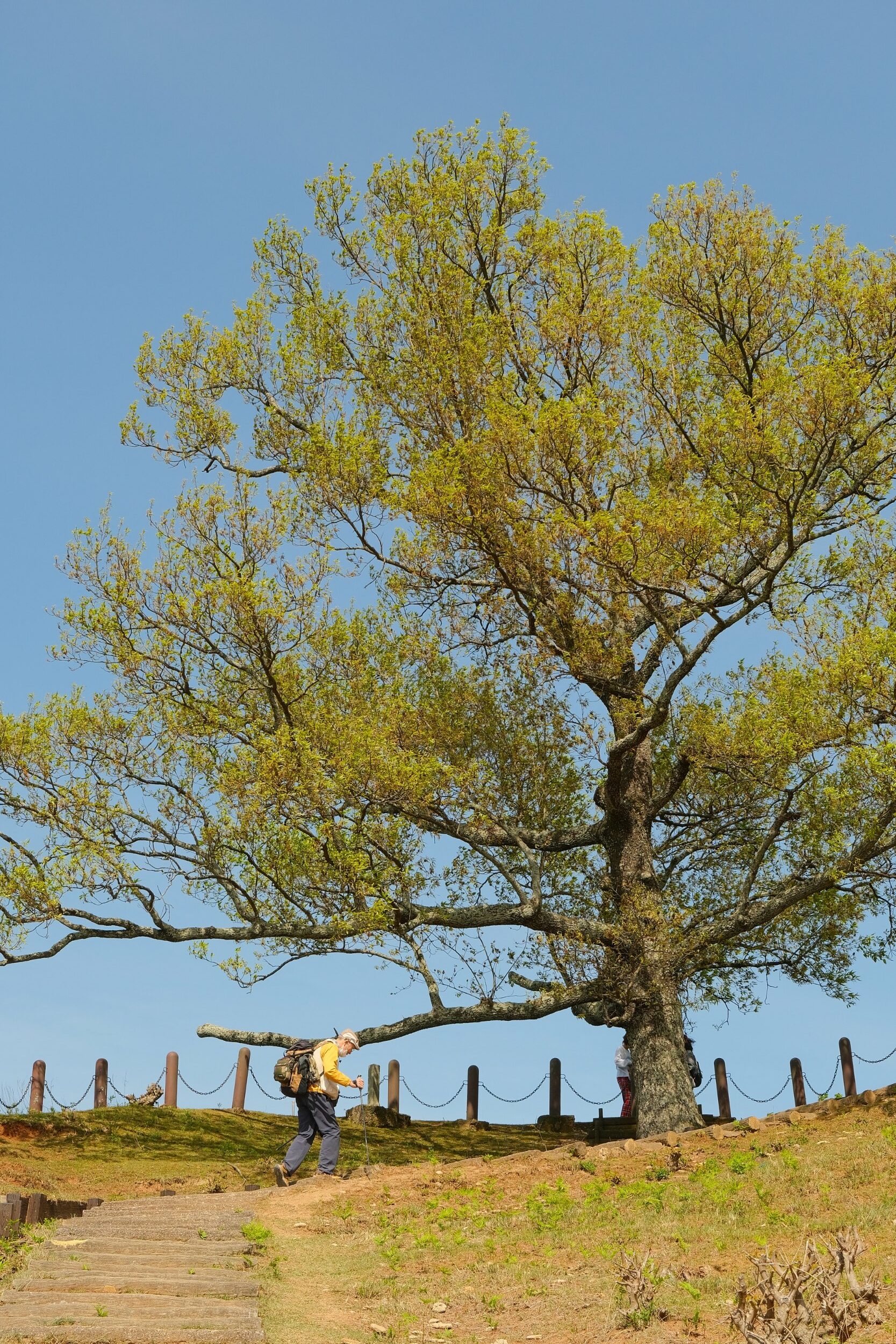 2023 04 23 12 36 dscf6137 1