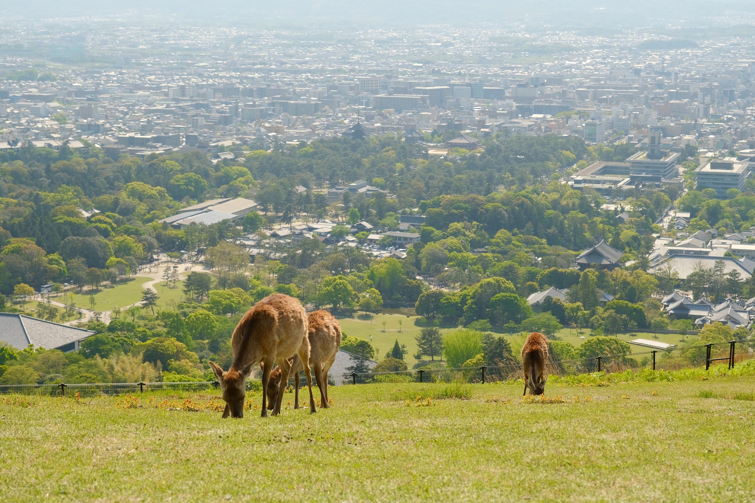 2023 04 23 13 15 dscf6181