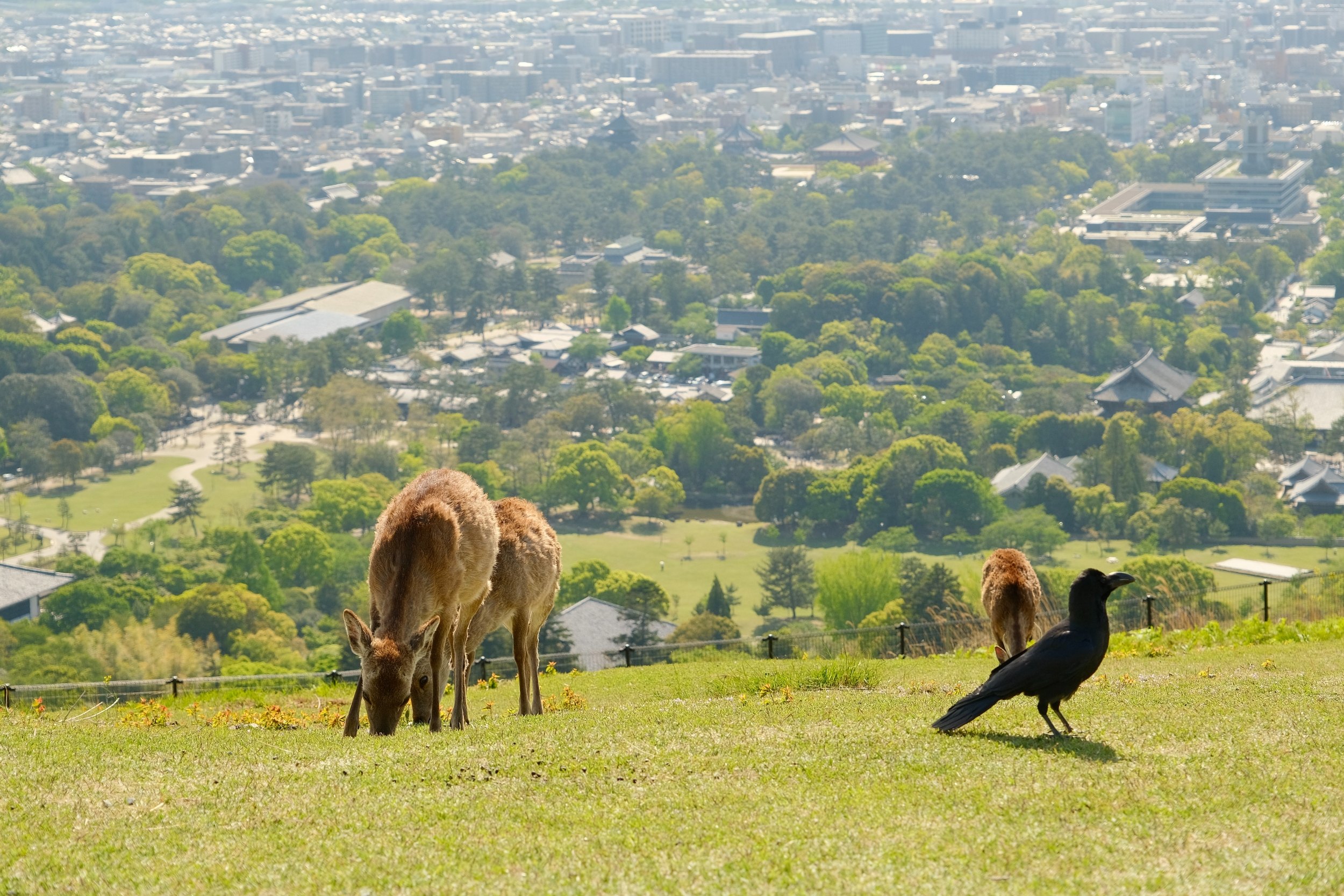 2023 04 23 13 16 dscf6185