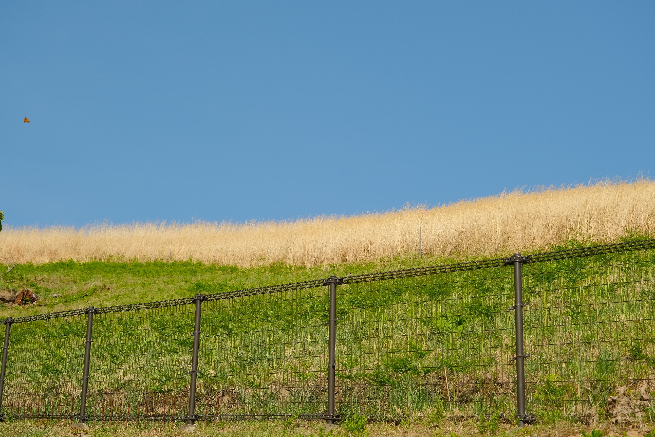 2023 04 23 13 27 dscf6207