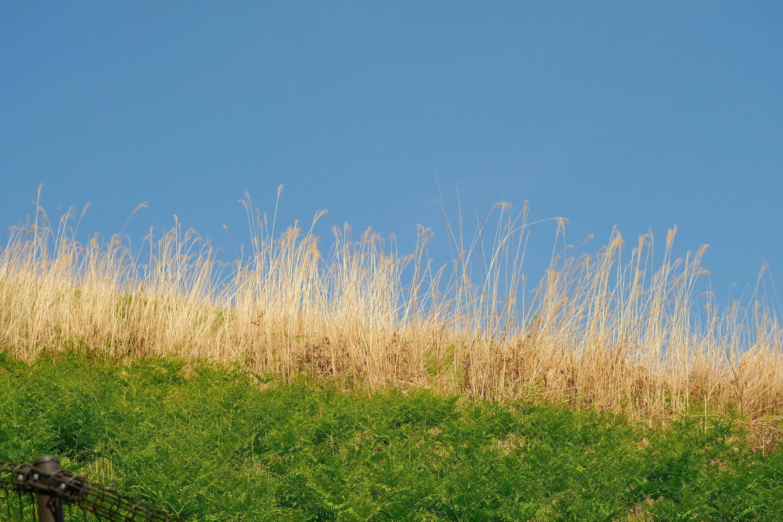 2023 04 23 13 29 dscf6209