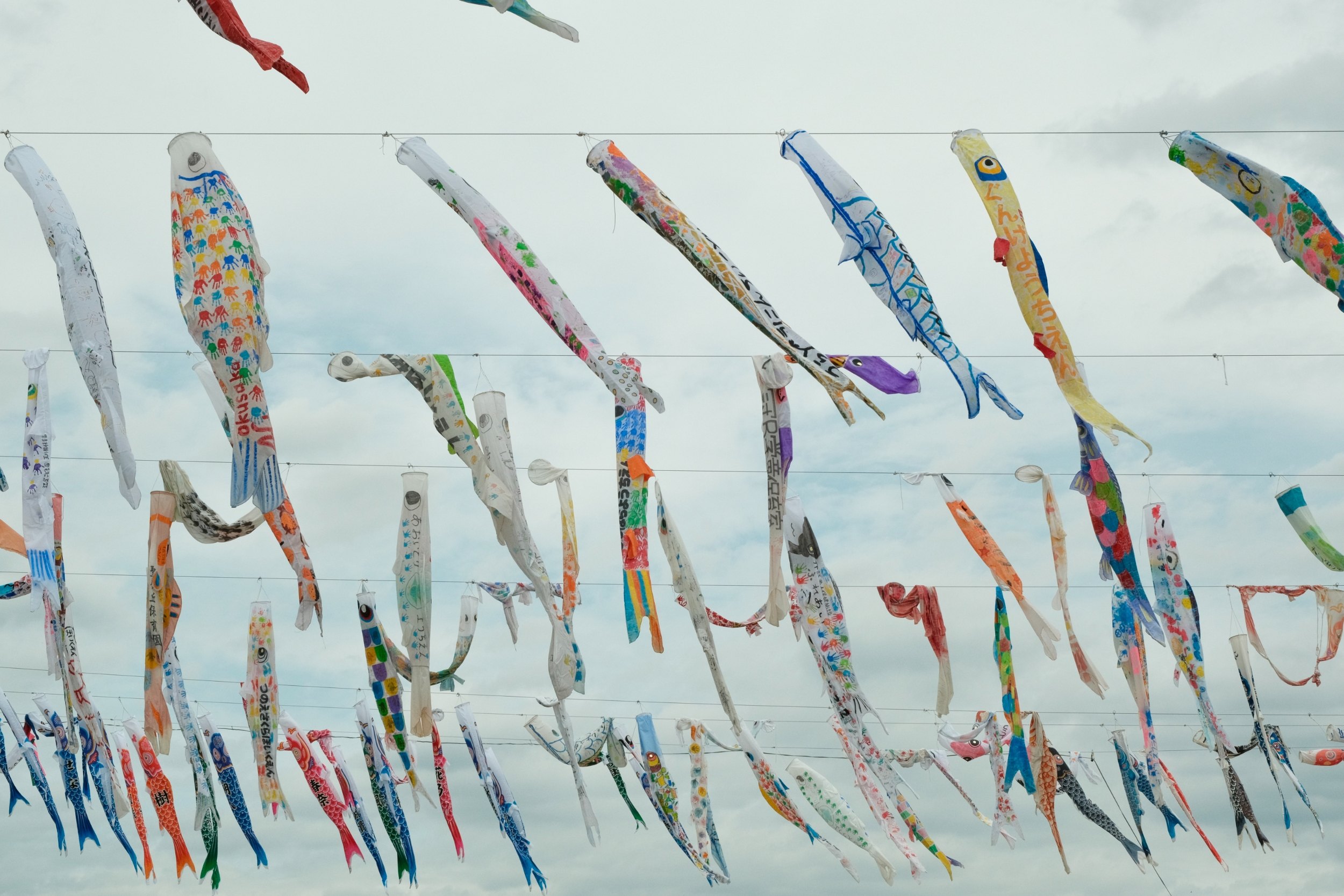 2023 04 29 09 11 dscf6275 2