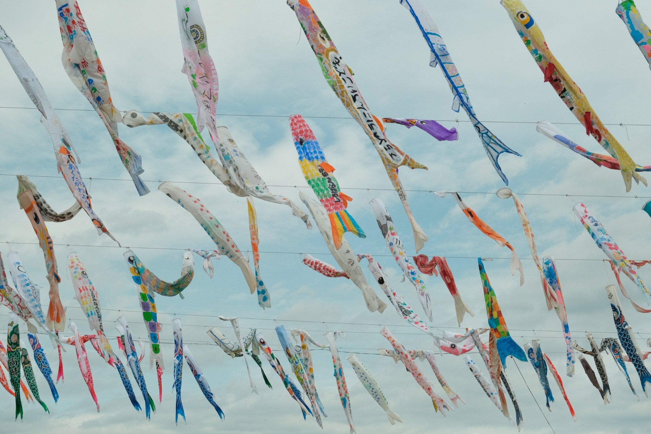 2023 04 29 09 14 dscf6285