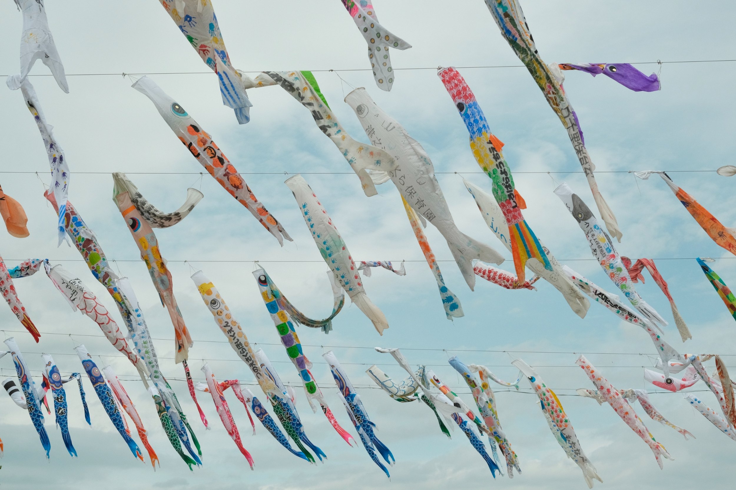 2023 04 29 09 15 dscf6286