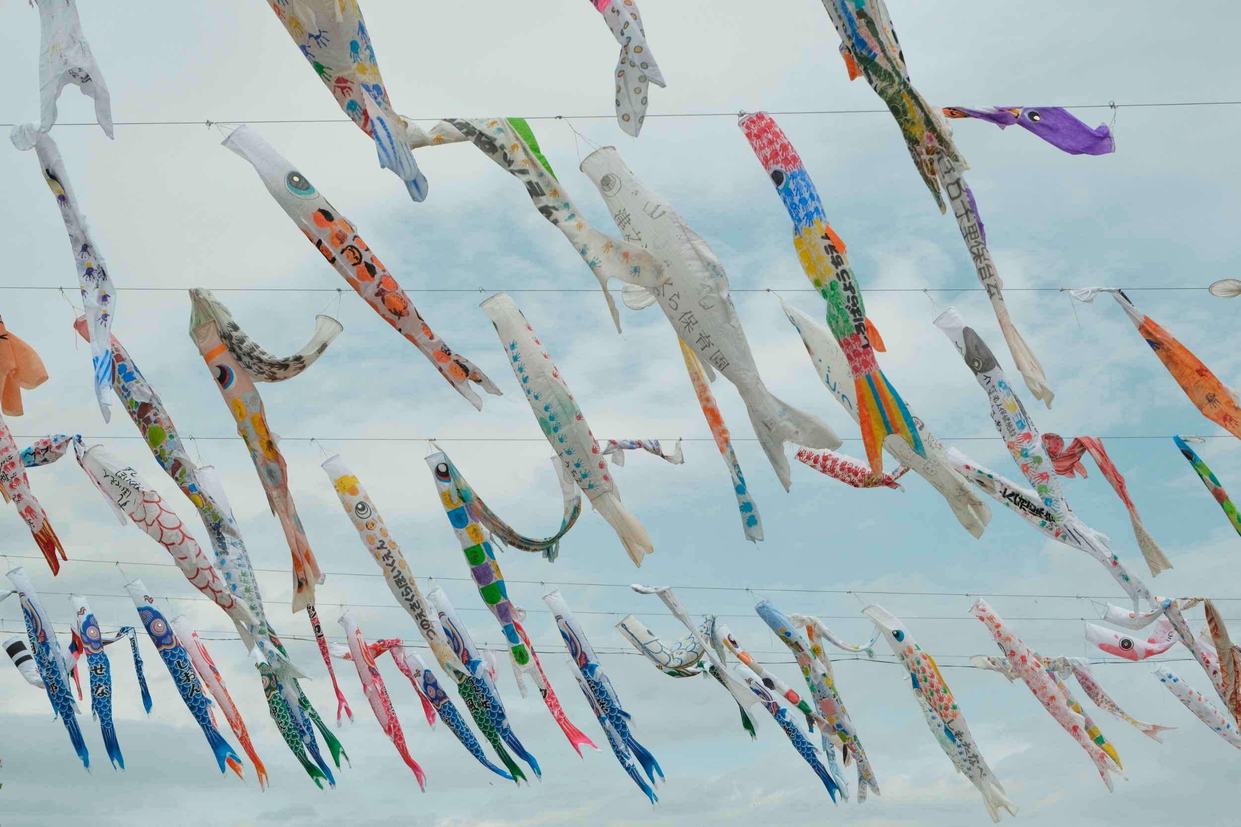 2023 04 29 09 15 dscf6287