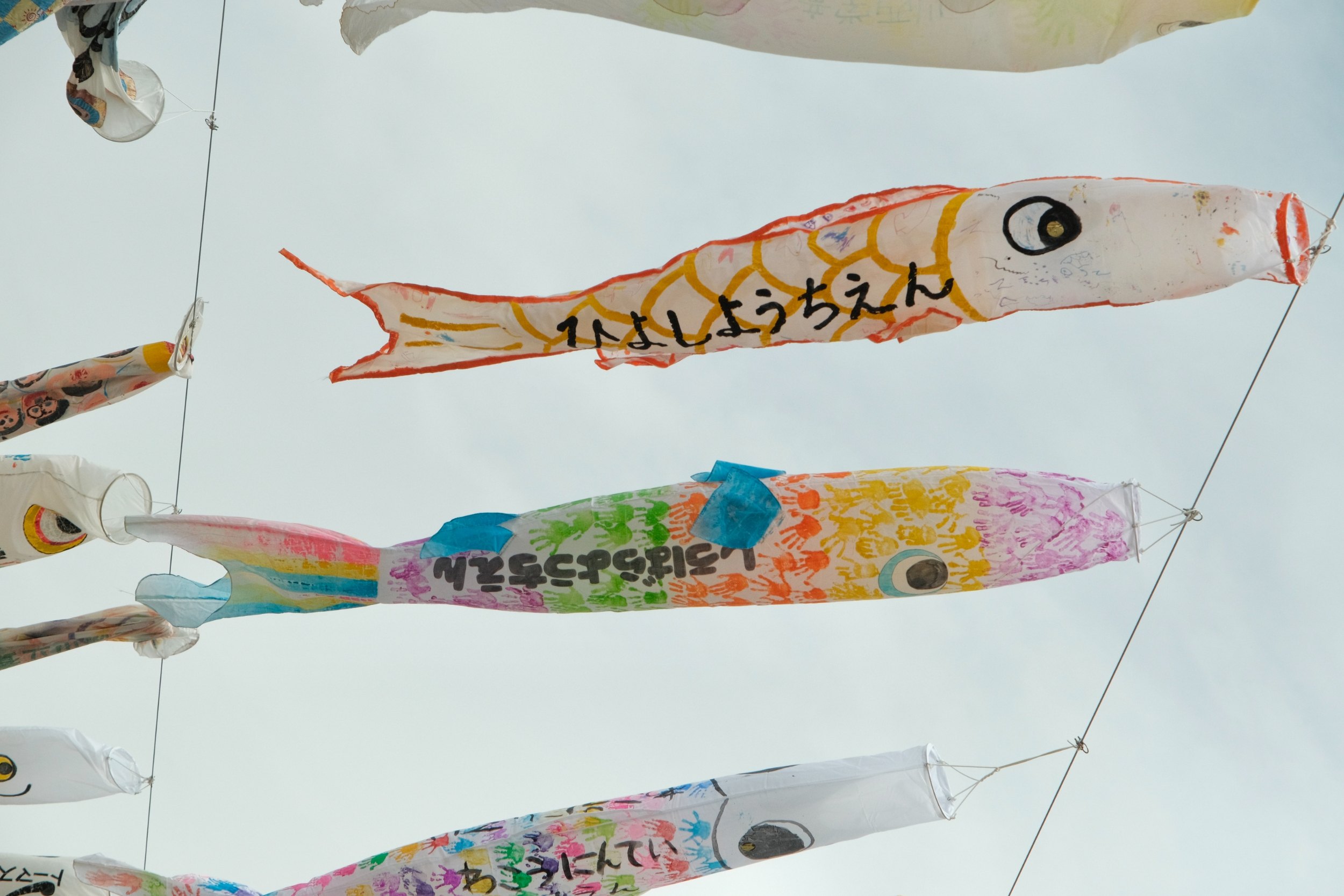 2023 04 29 09 25 dscf6304