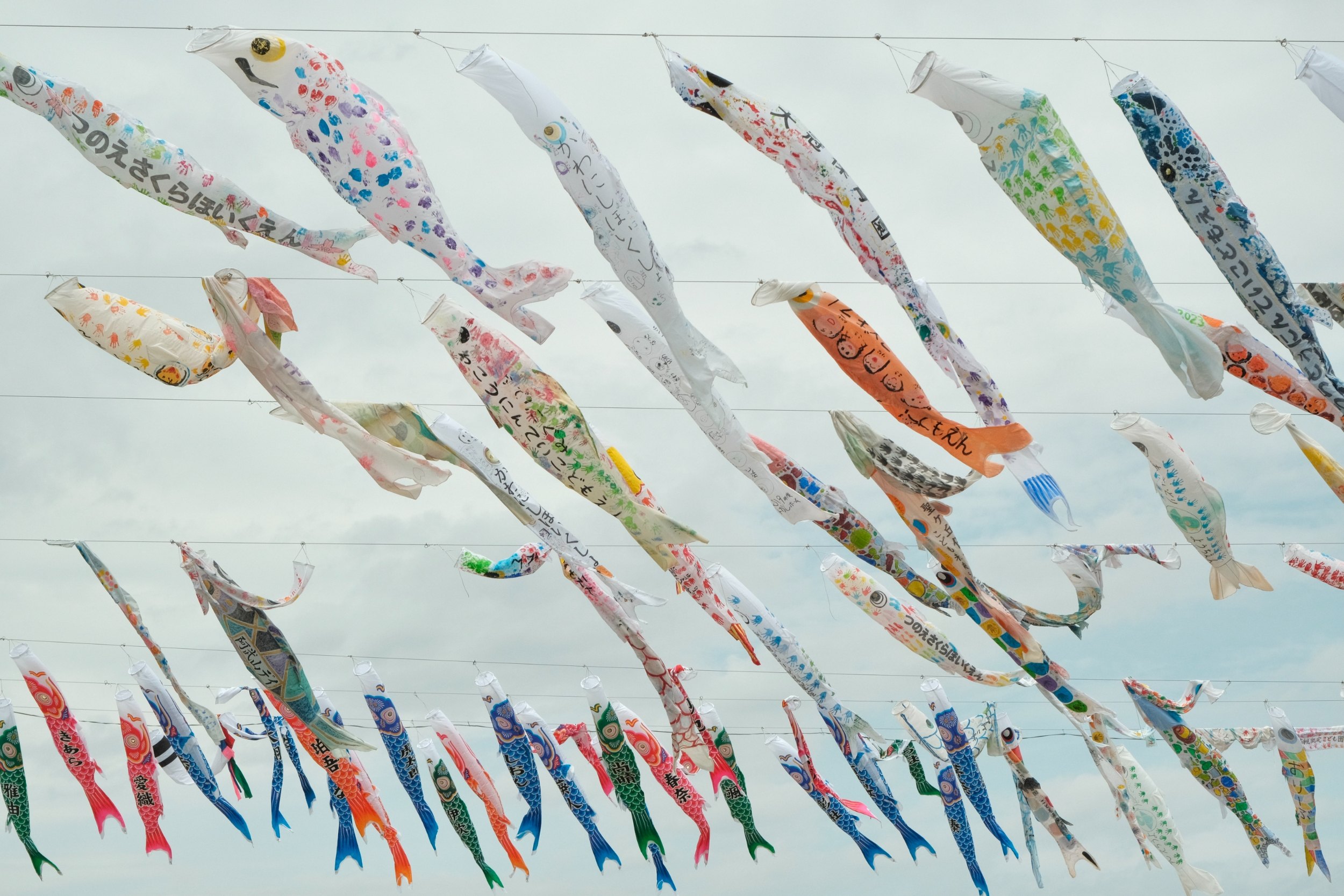 2023 04 29 09 27 dscf6313