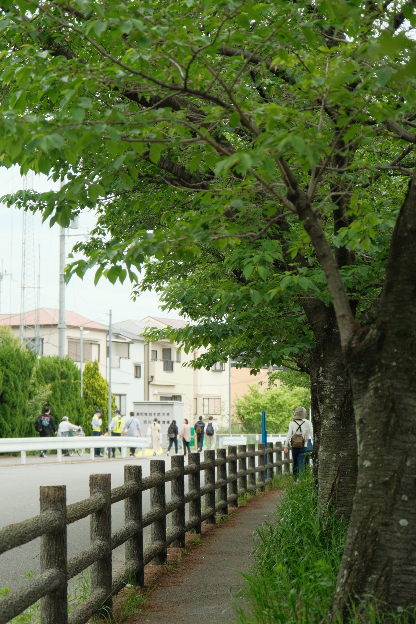 2023 04 29 09 55 dscf6388 1