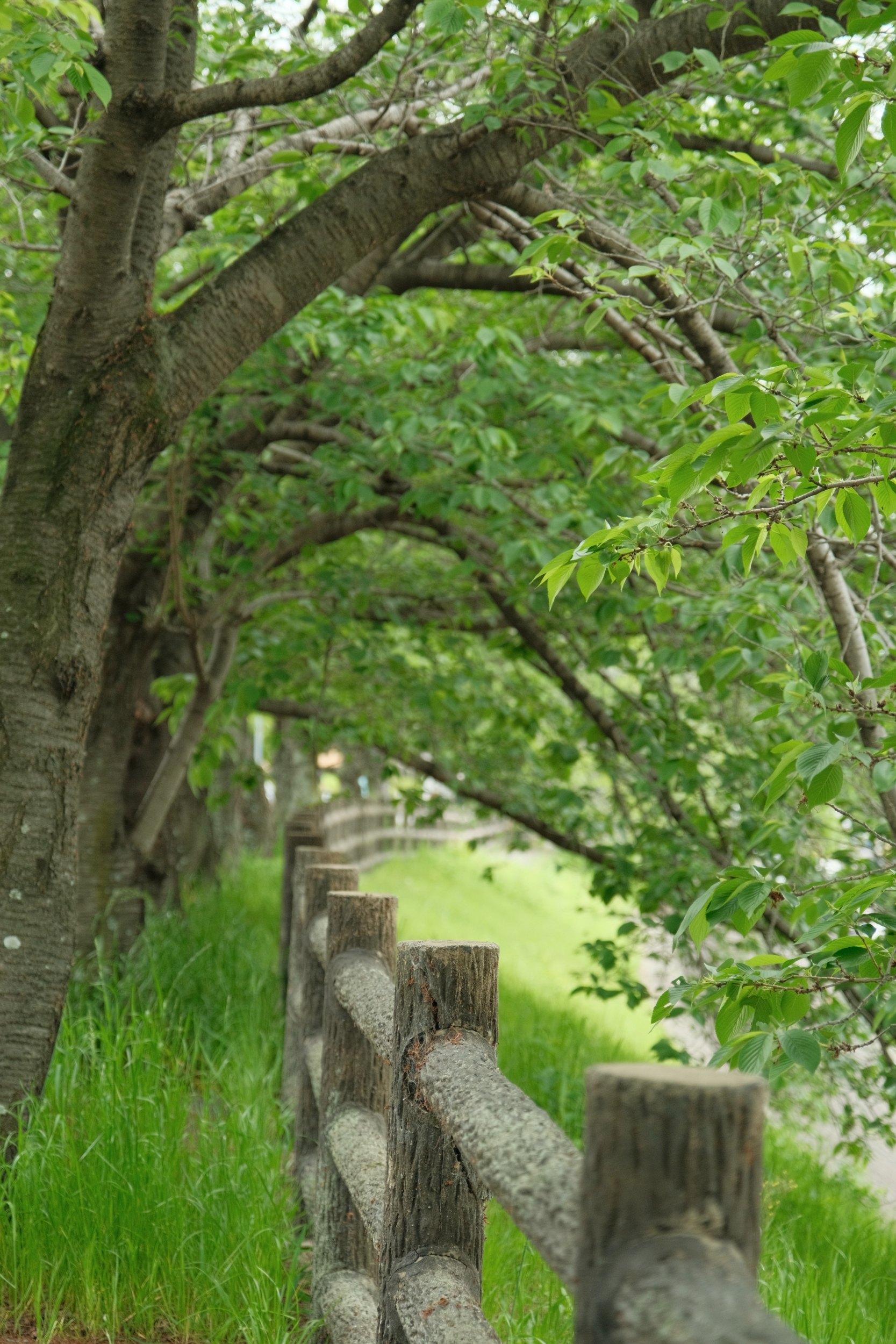 2023 04 29 09 55 dscf6392 1