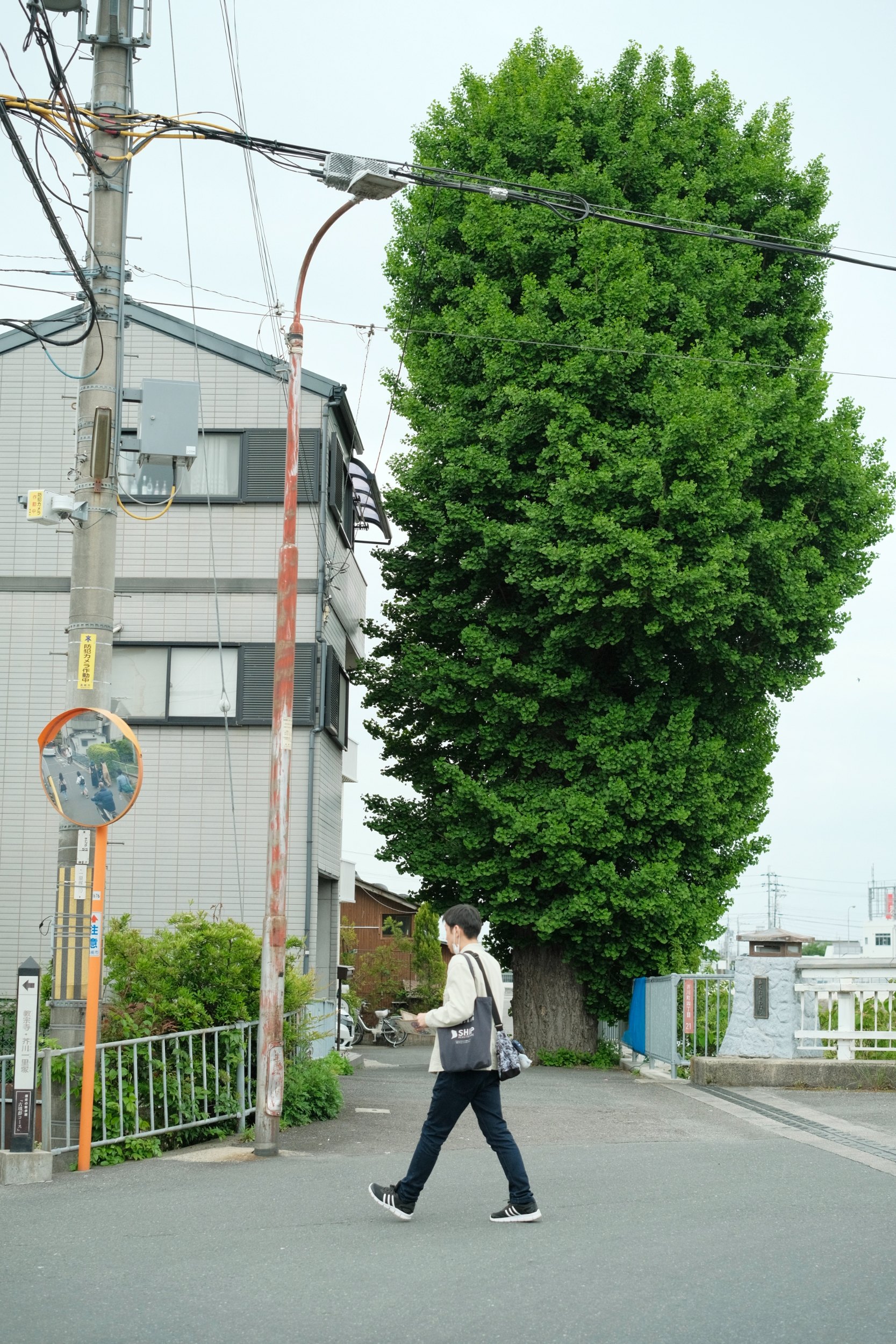 2023 04 29 11 09 dscf6456