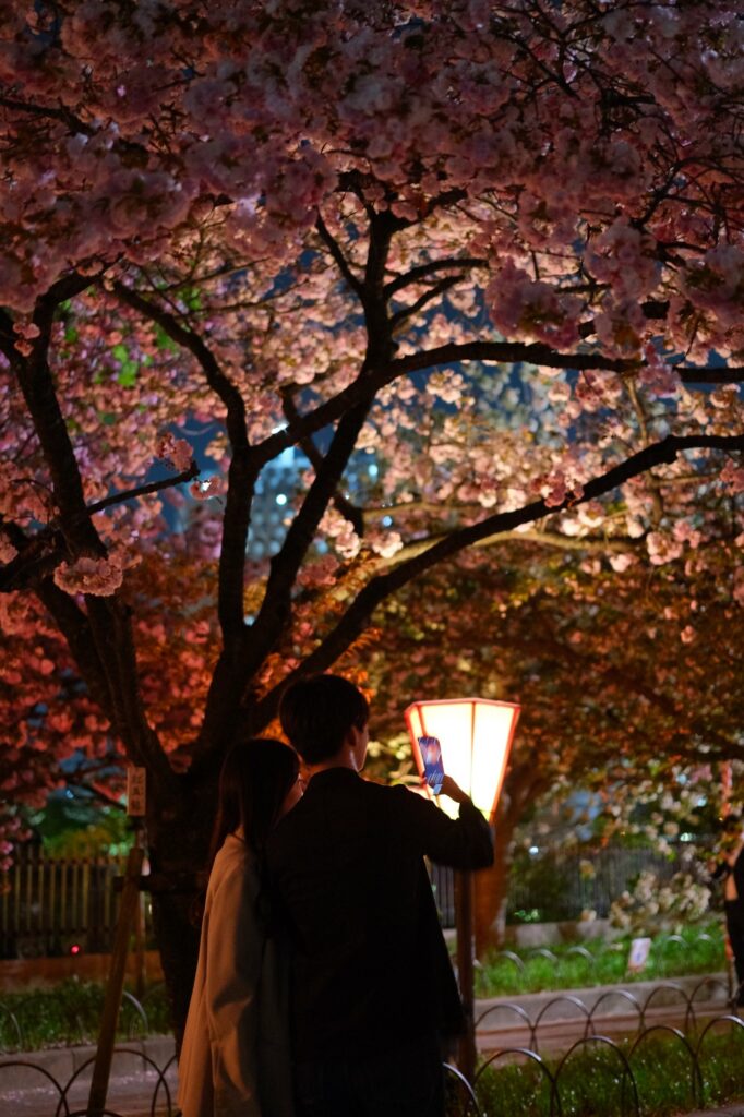 Sakura couple