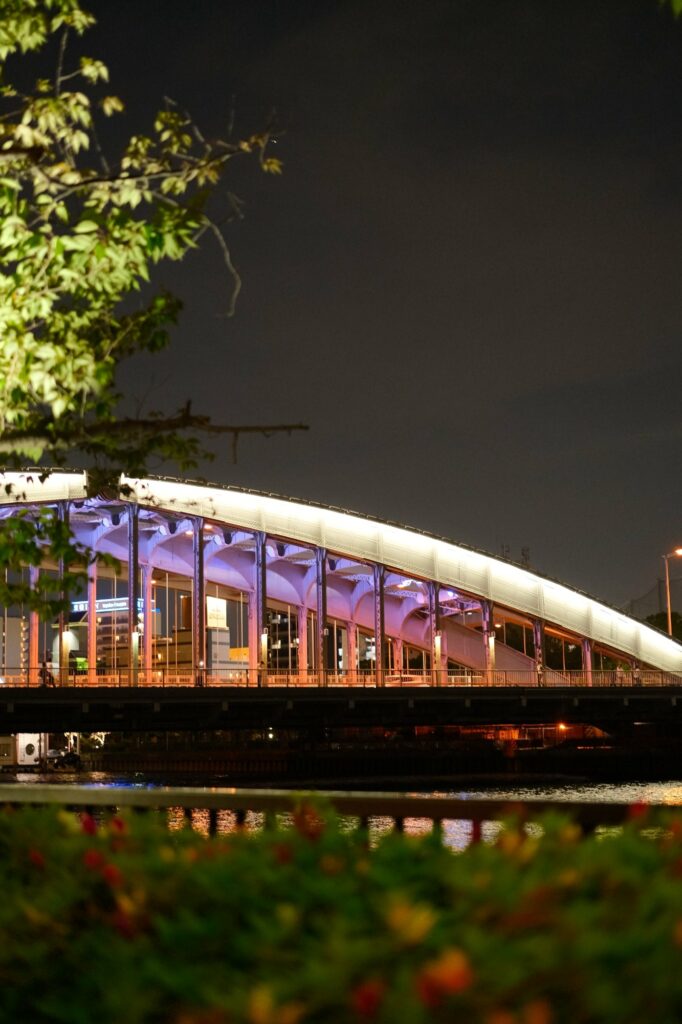 Bridge at Osaka